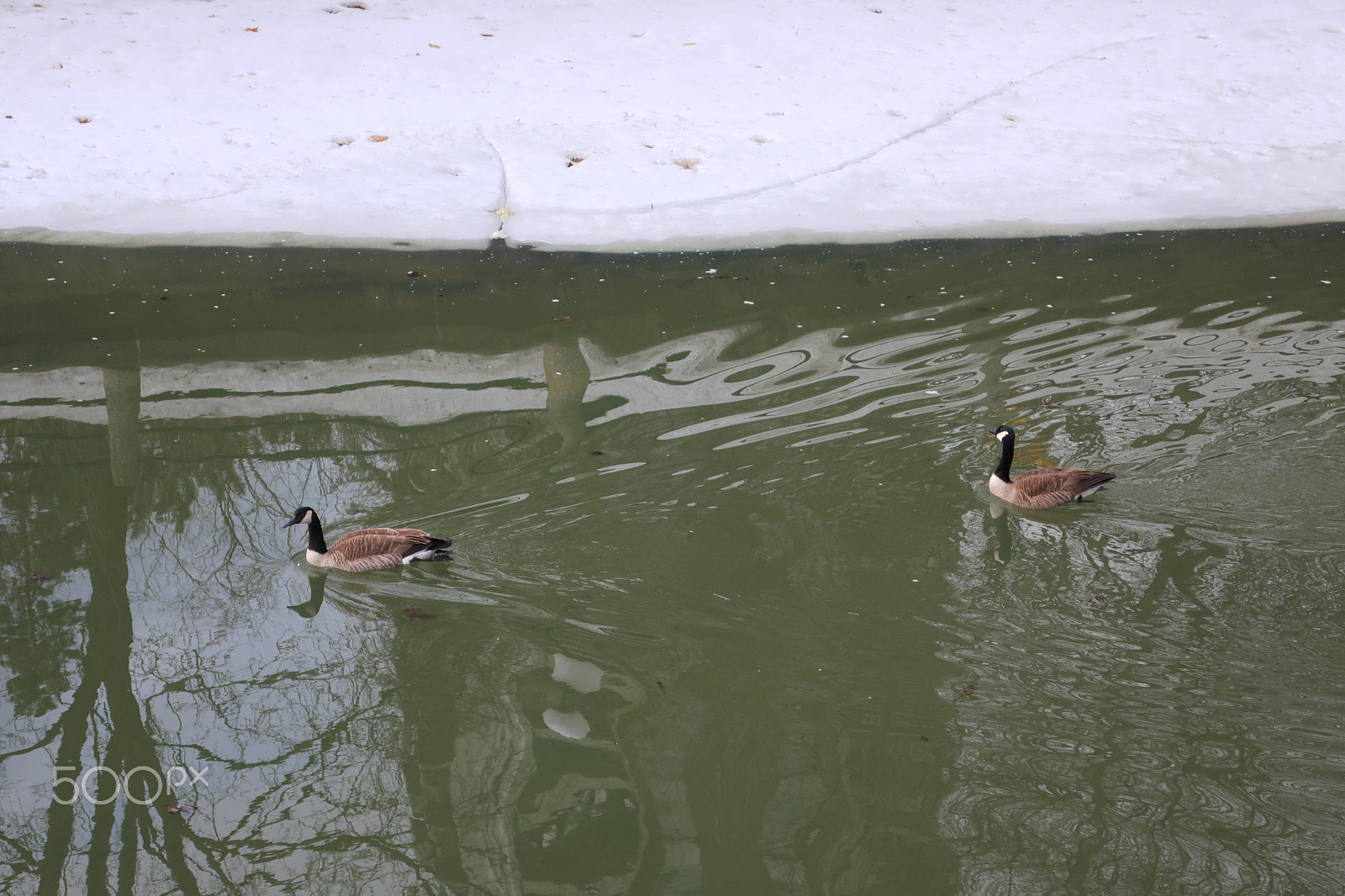 Canon PowerShot G9 X Mark II sample photo. We're back... photography
