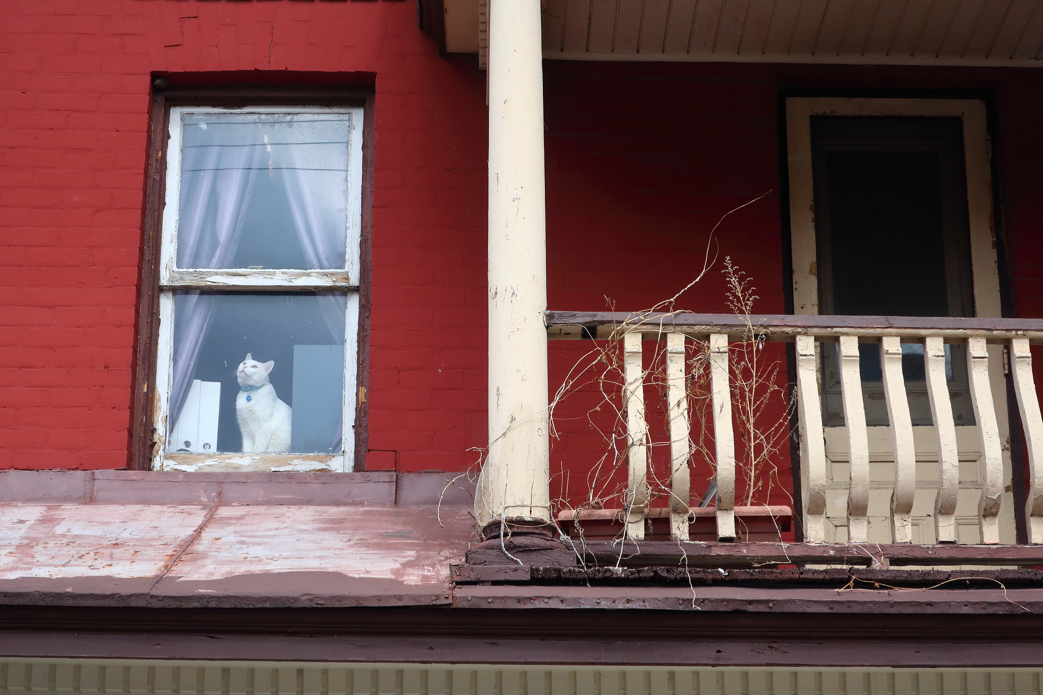 Canon PowerShot G9 X Mark II sample photo. Where's the spring? photography