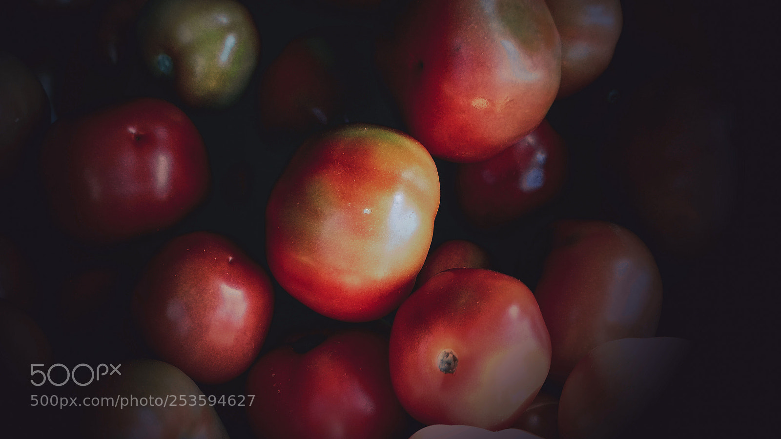 Xiaomi Redmi 4 Pro sample photo. Red tomatoes photography