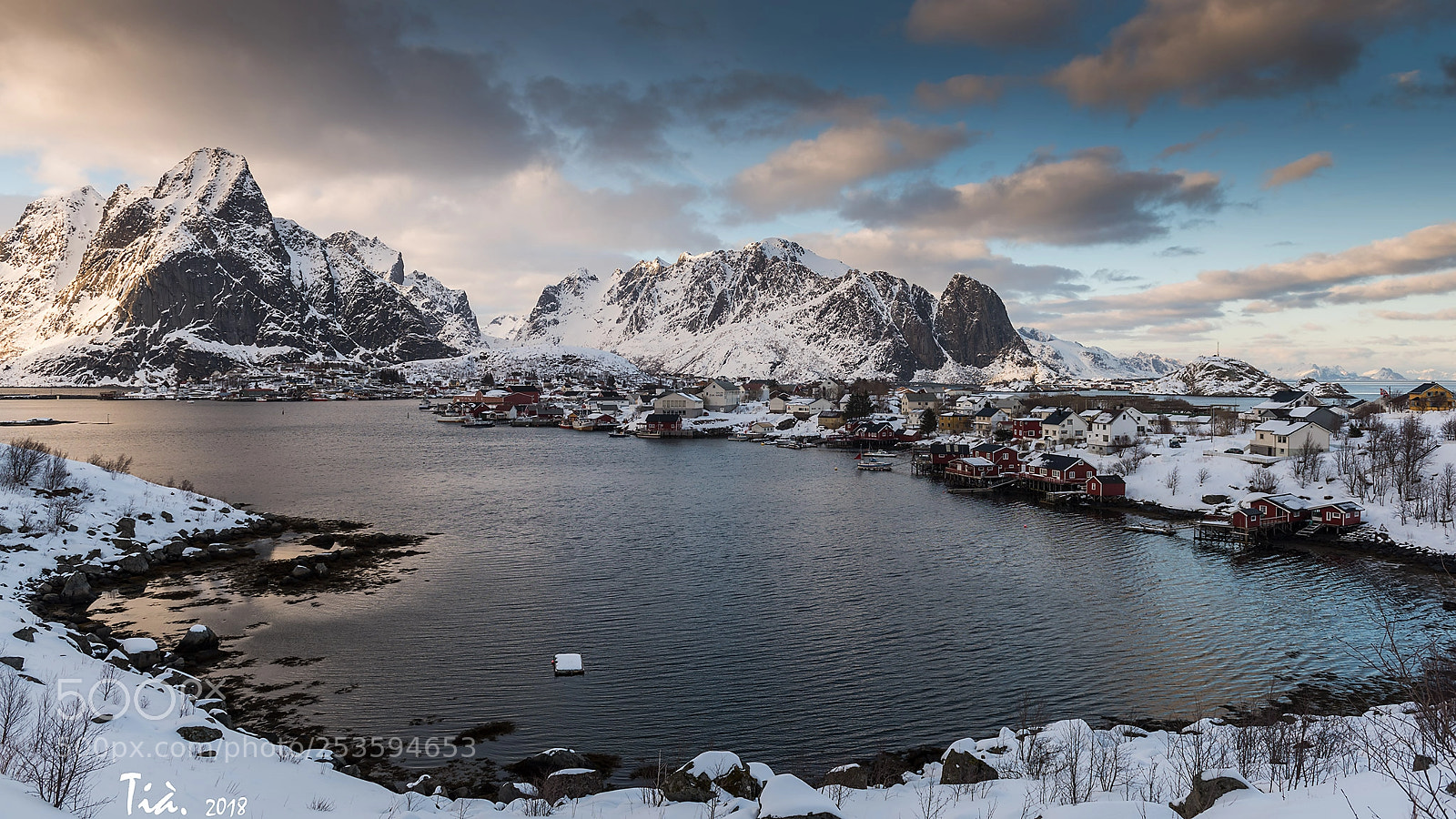 Nikon D810 sample photo. Reine photography
