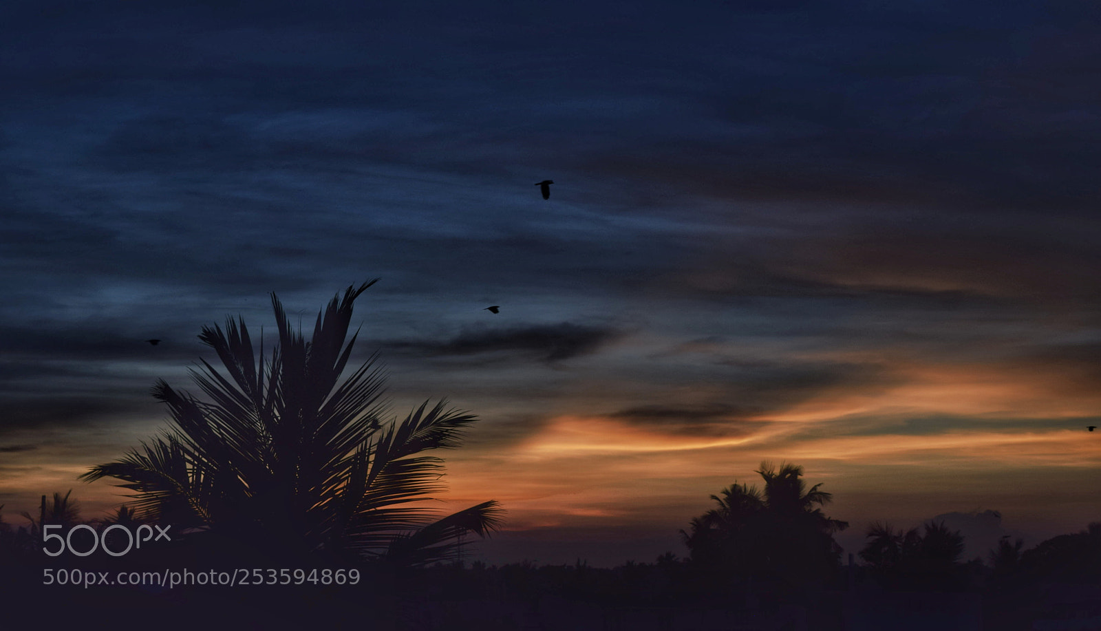 Nikon D3300 sample photo. Sunset photography