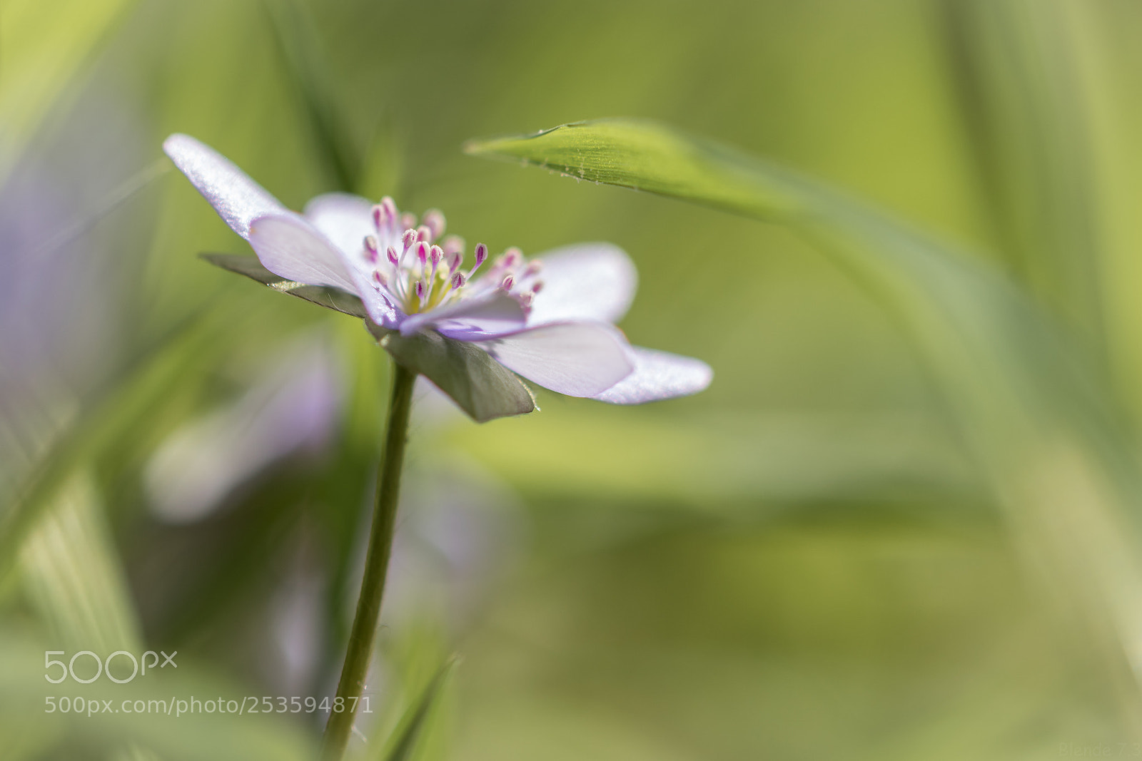 Canon EOS 80D sample photo. Waldspaziergang photography