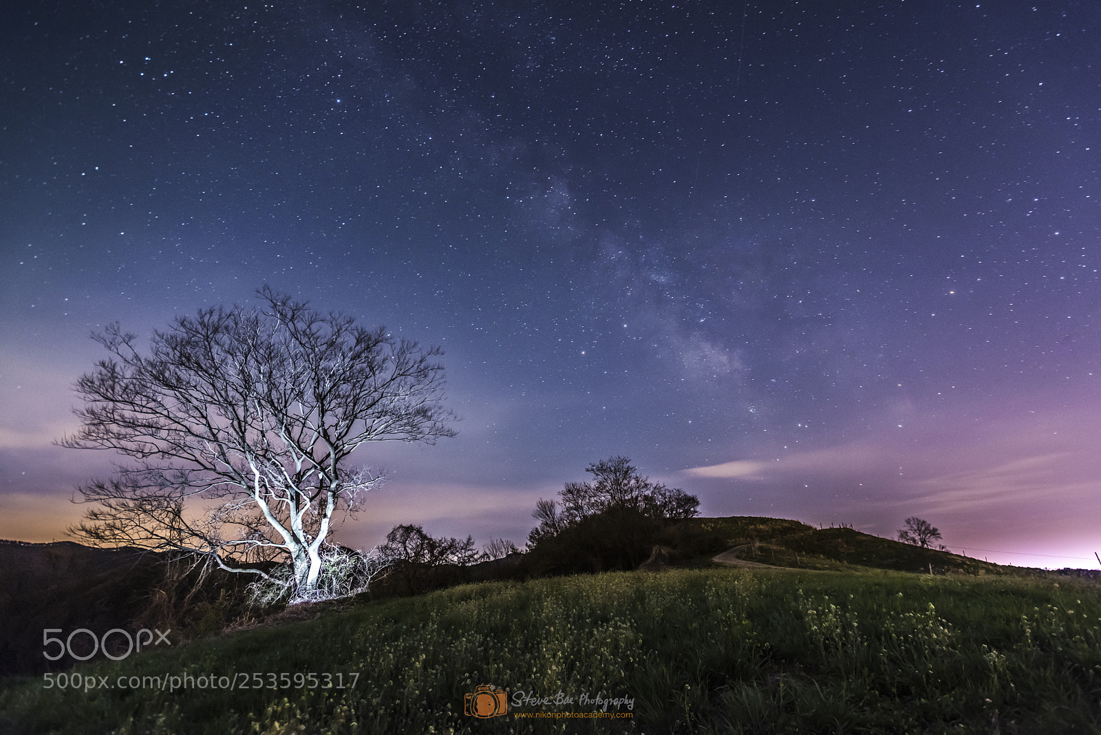 Nikon D810 sample photo. 2018 milkyway 2 photography