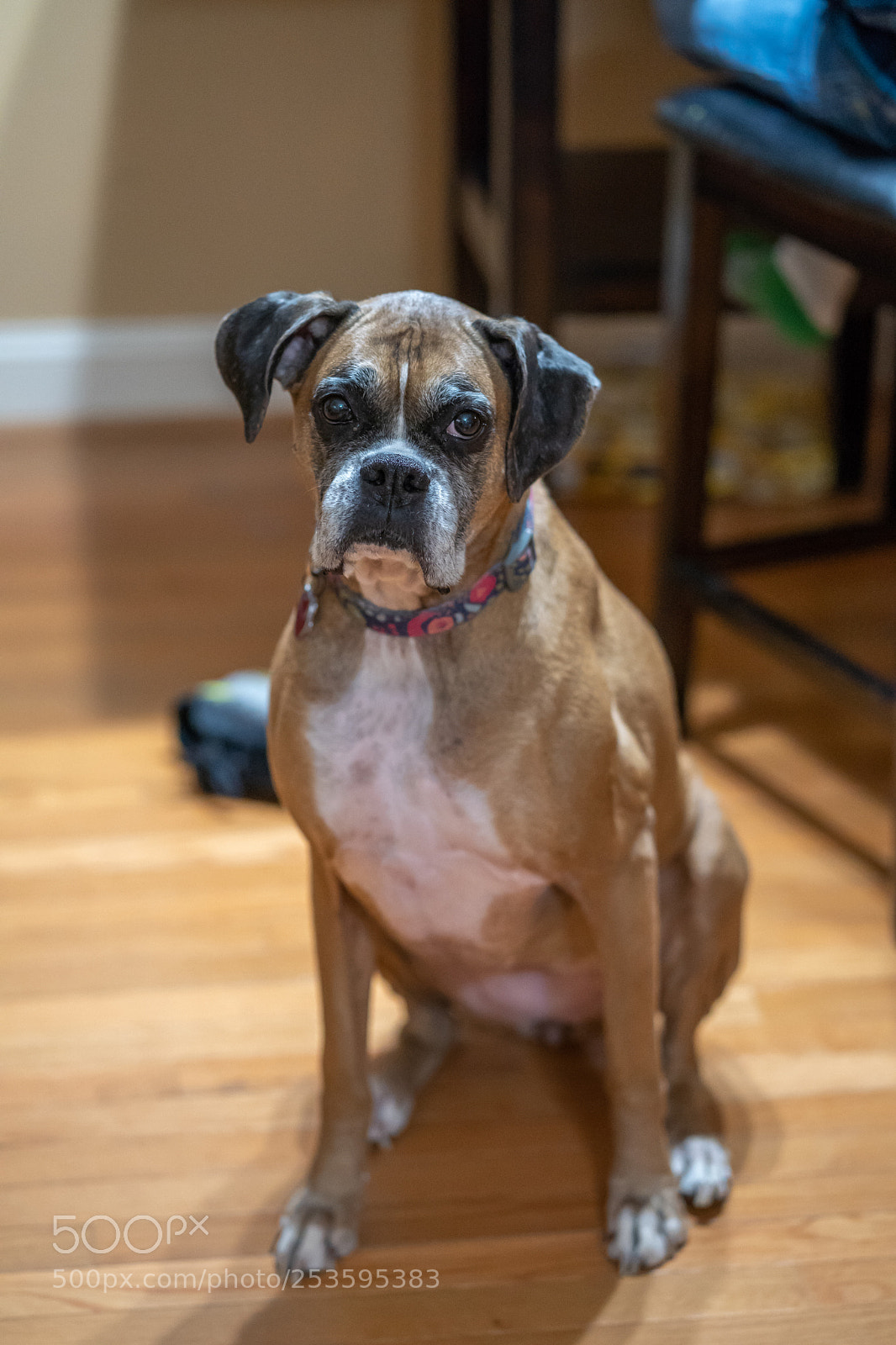 Sony a7 III sample photo. Full size photography