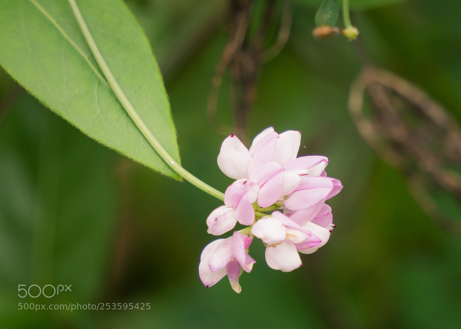 Sony a6000 sample photo. Full size photography