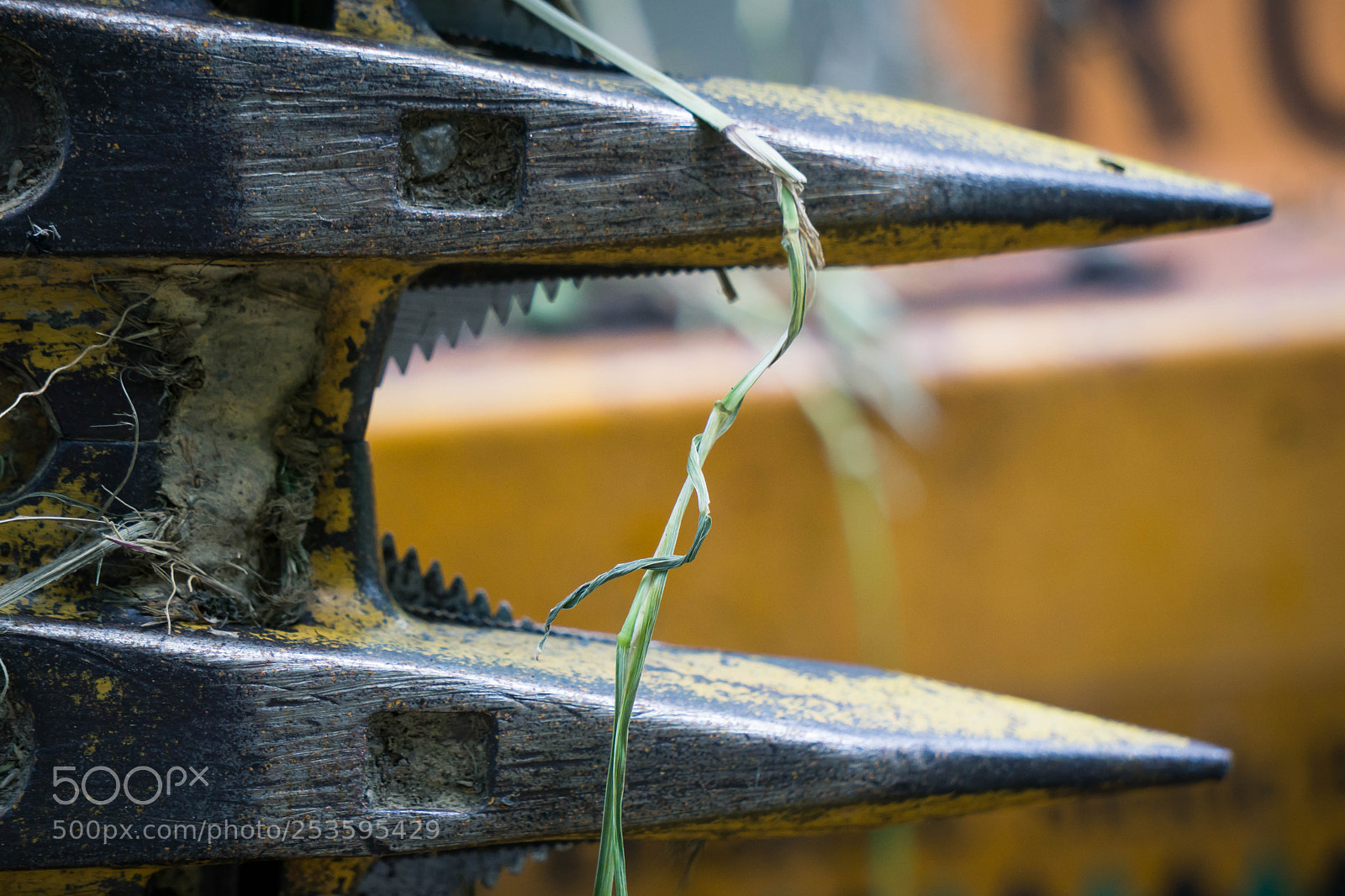 Sony a6000 sample photo. Full size photography