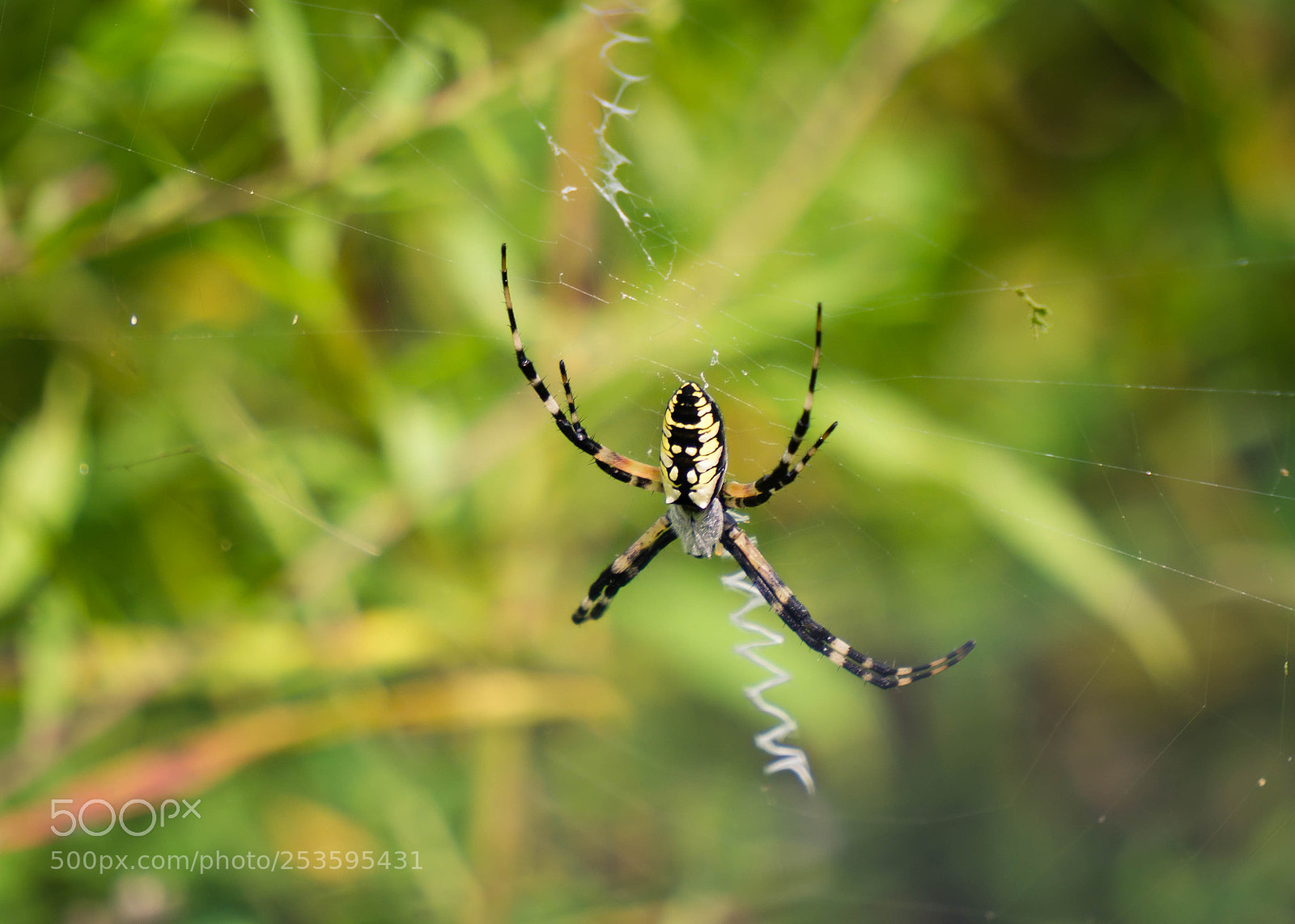 Sony a6000 sample photo. Full size photography