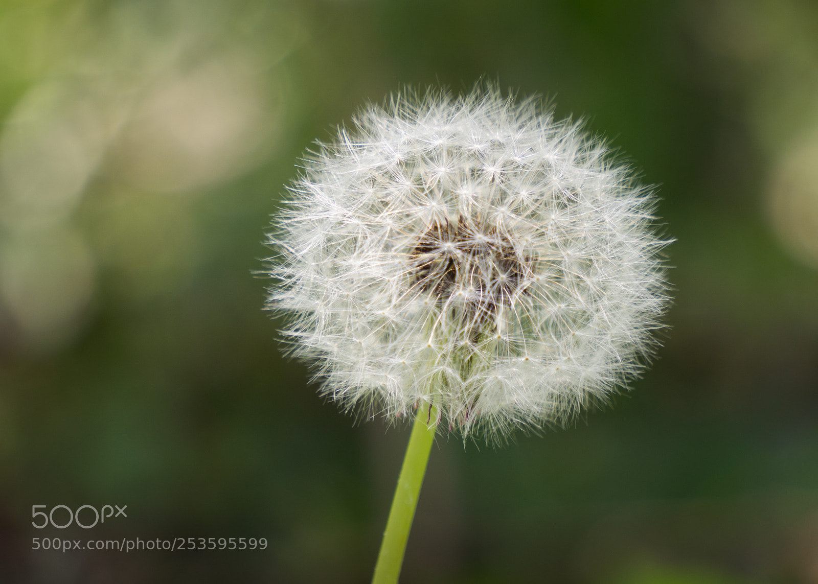 Sony a6000 sample photo. Full size photography
