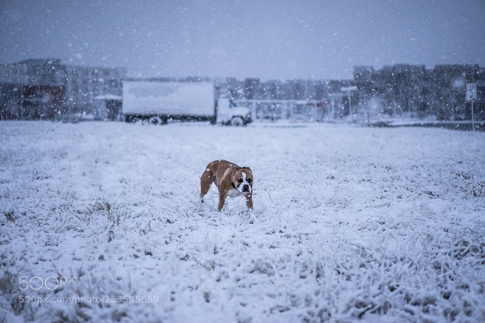 Sony a7 sample photo. Abominable pit photography