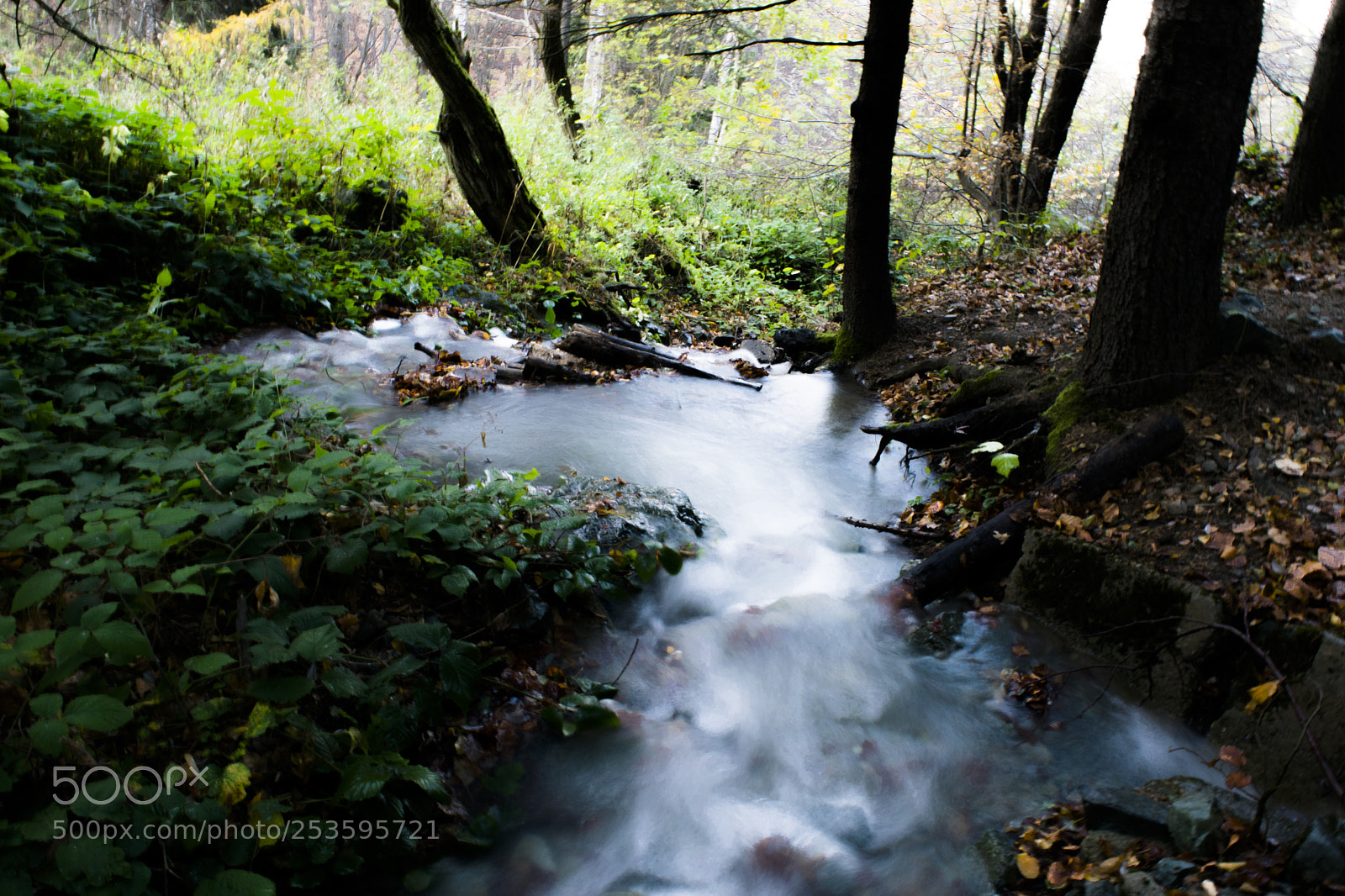Nikon D5300 sample photo. Stream photography
