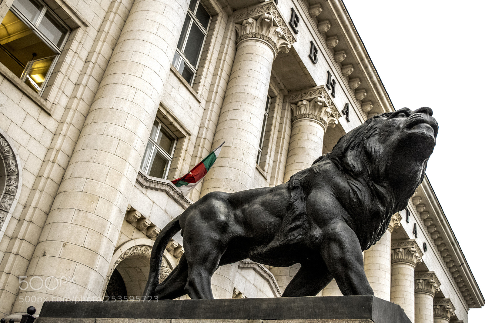 Nikon D5300 sample photo. Builgarian lion photography