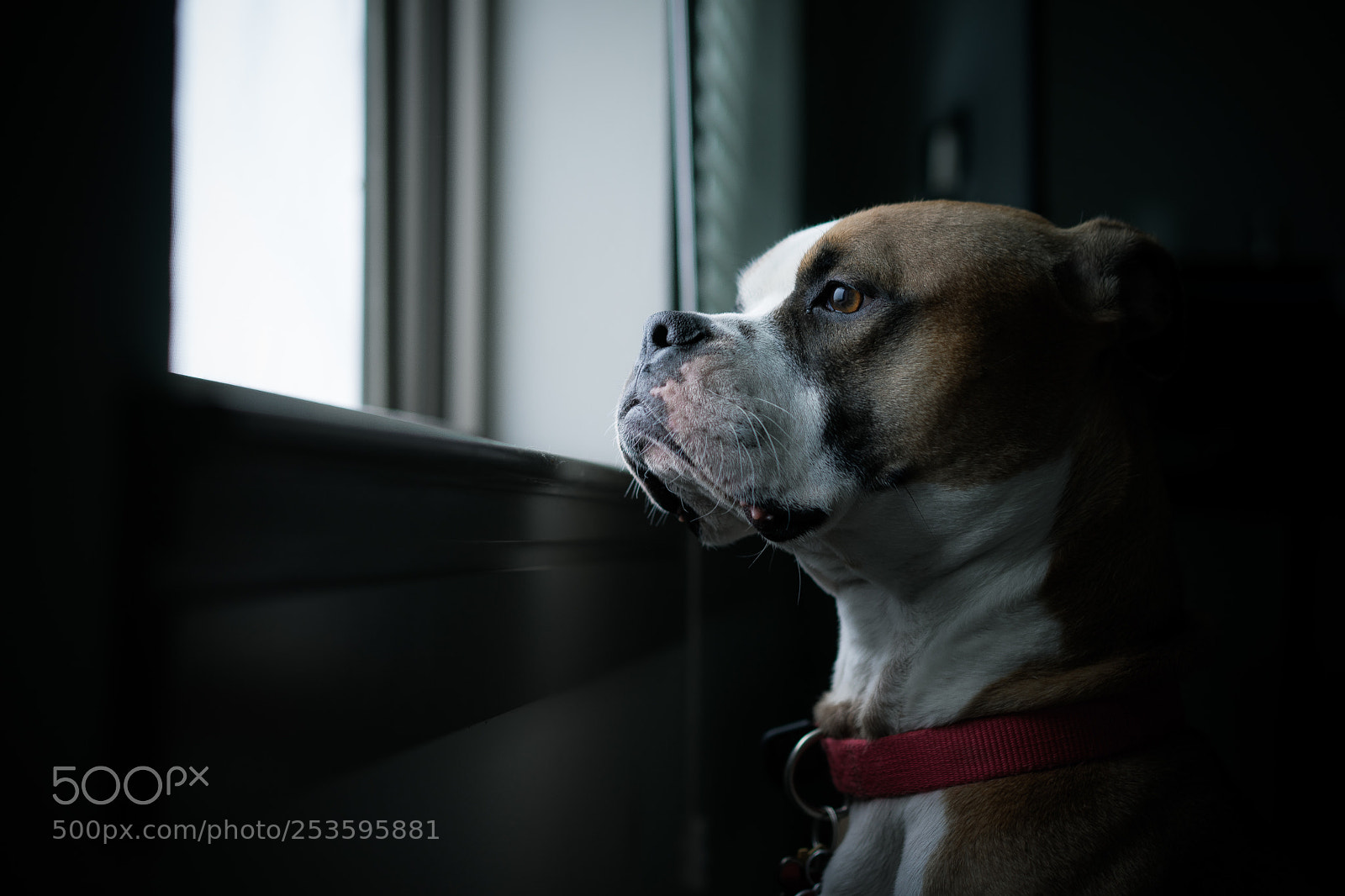 Sony a7 sample photo. When will my walk photography