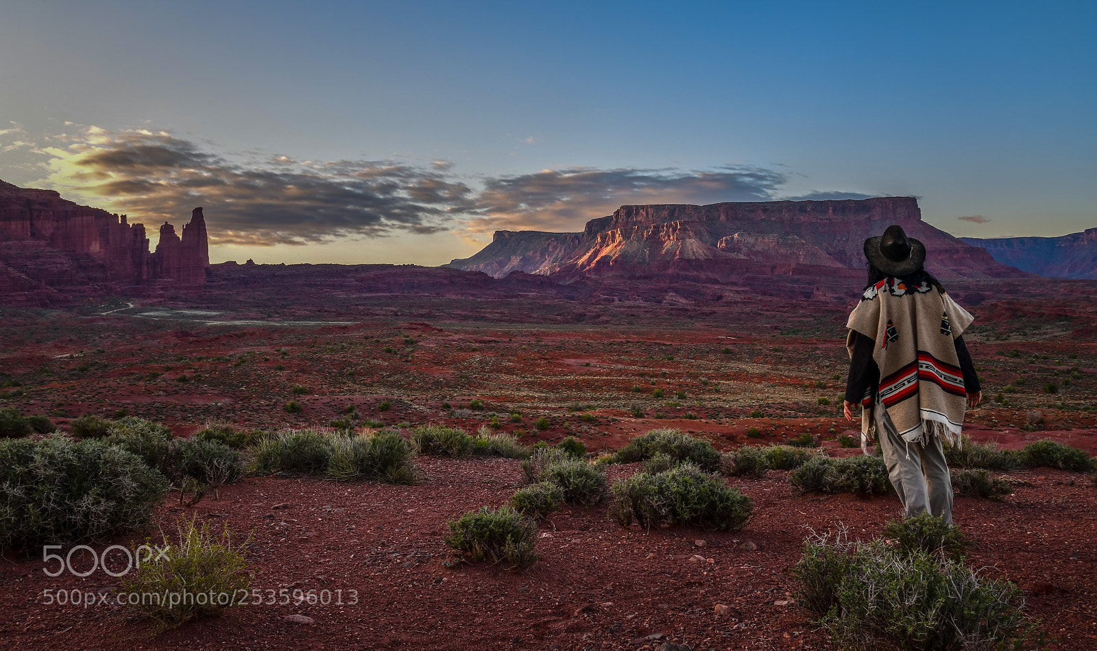 Nikon D850 sample photo. A southwest walk through photography