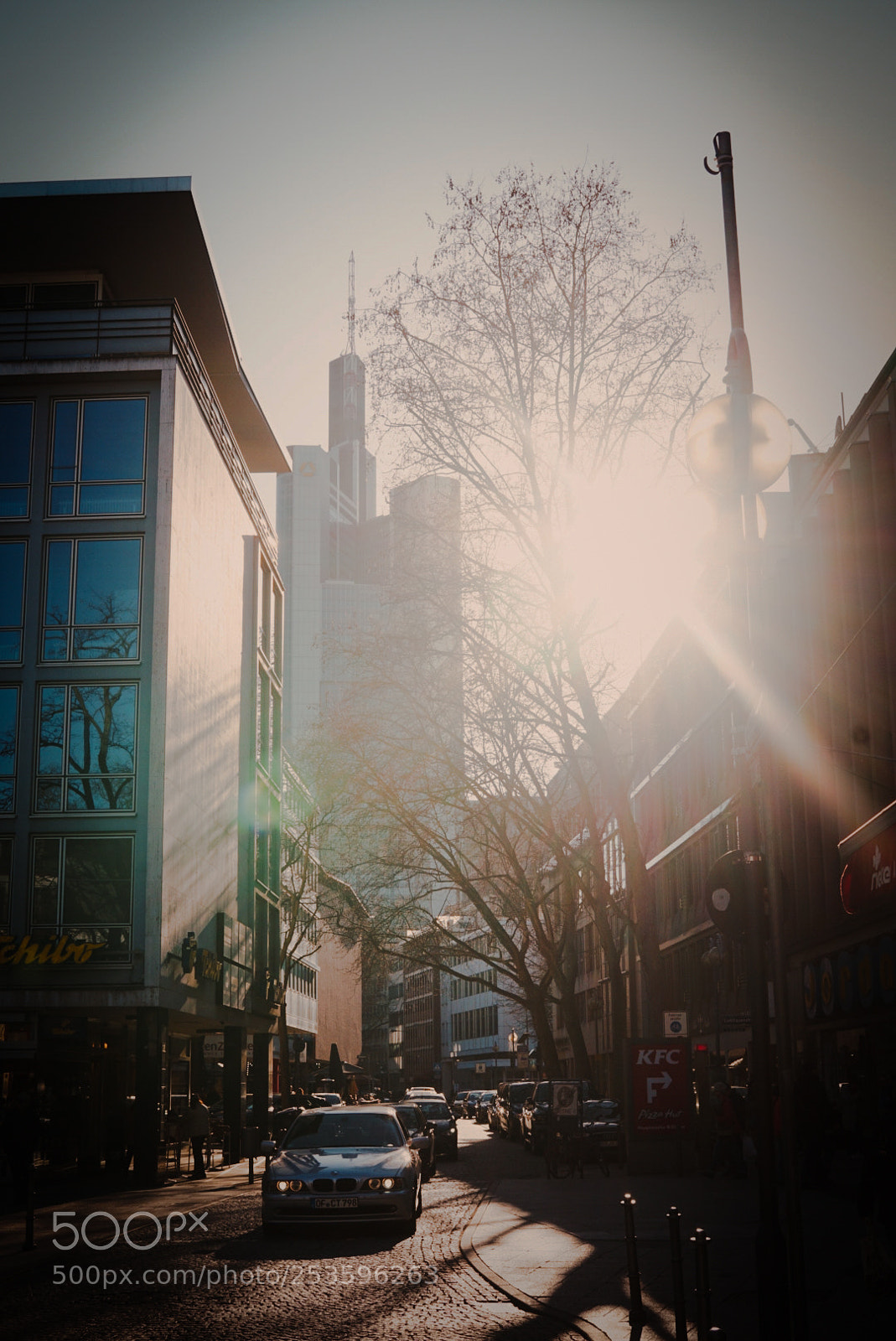 Sony a6000 sample photo. Sunshine photography