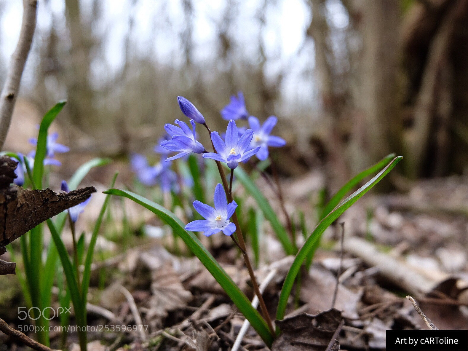 Fujifilm X-T20 sample photo. Life photography