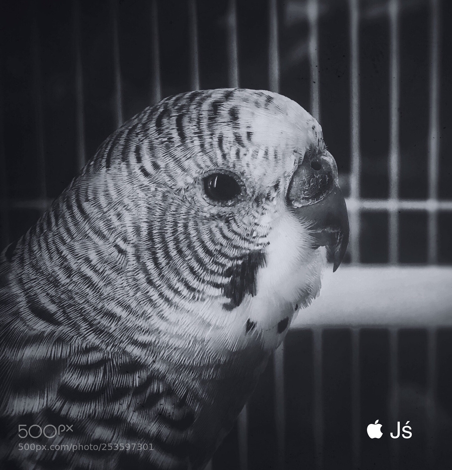 Apple iPhone SE sample photo. Untitled photography