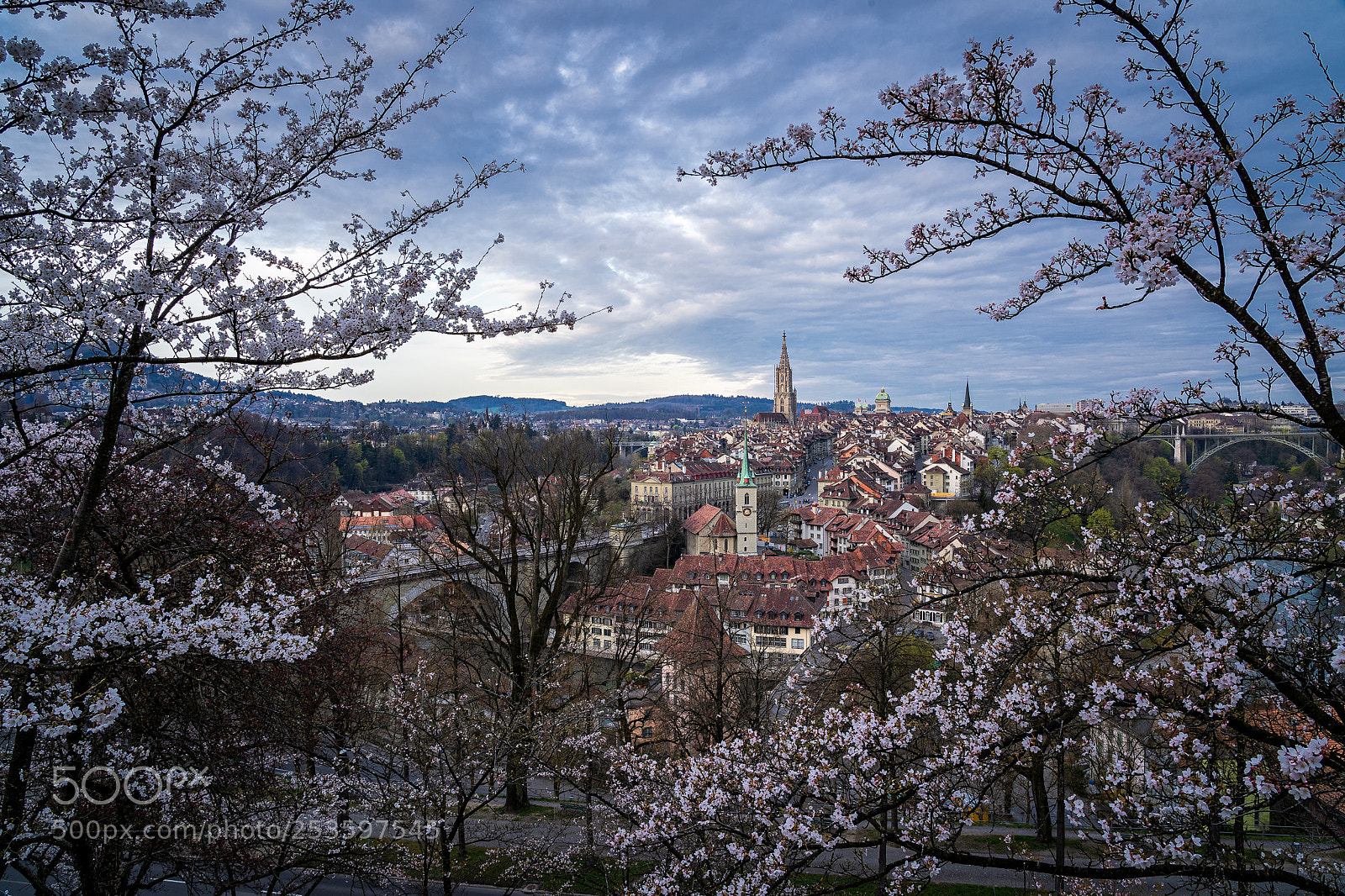 Sony a7 III sample photo. Springtime photography