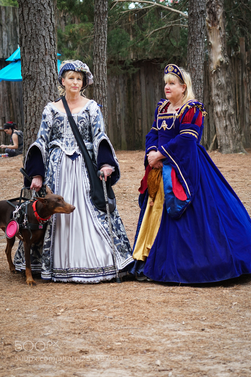 Sony a6500 sample photo. Sherwood forest faire photography