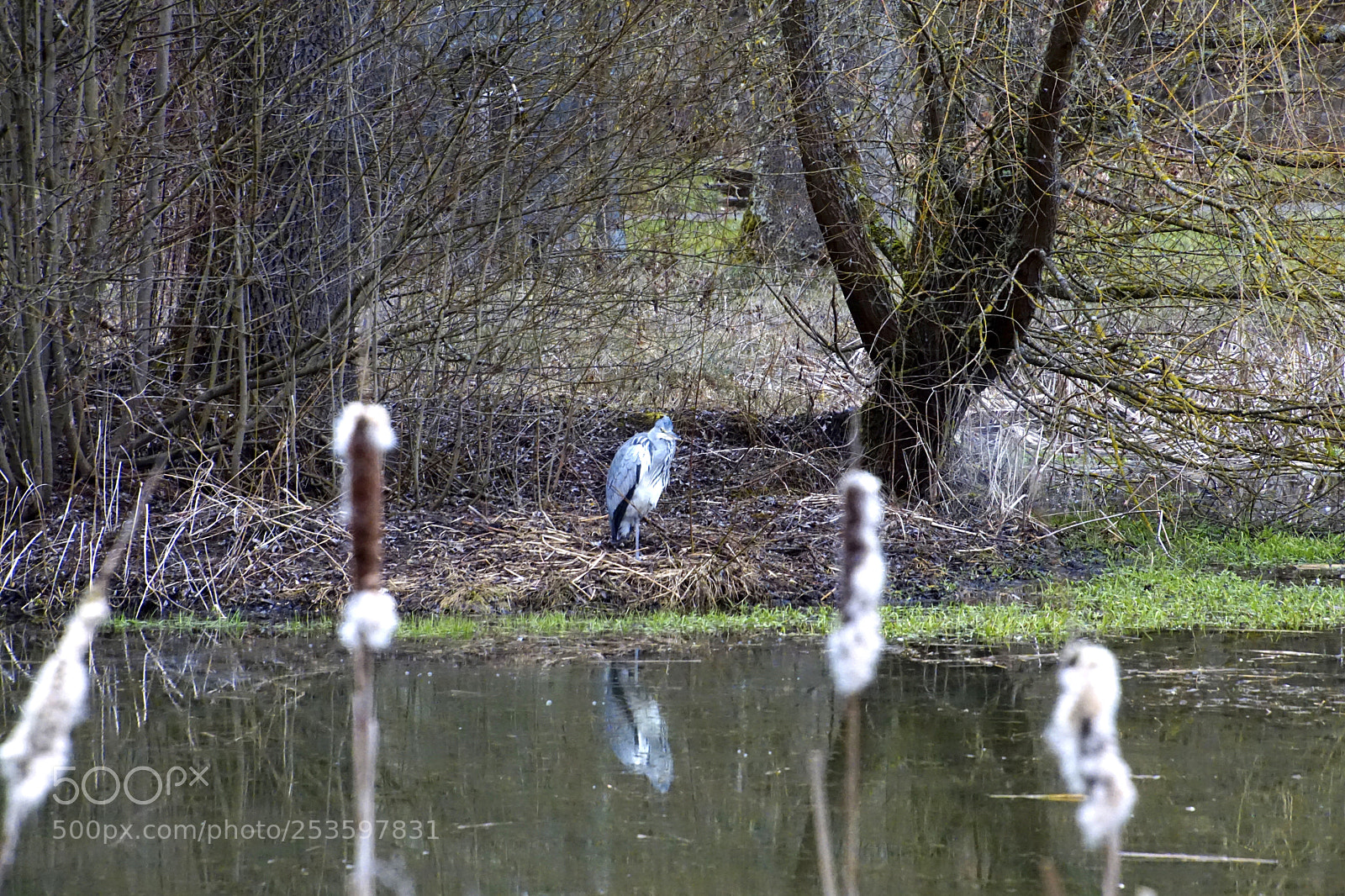 Sony ILCA-77M2 sample photo. Untitled photography