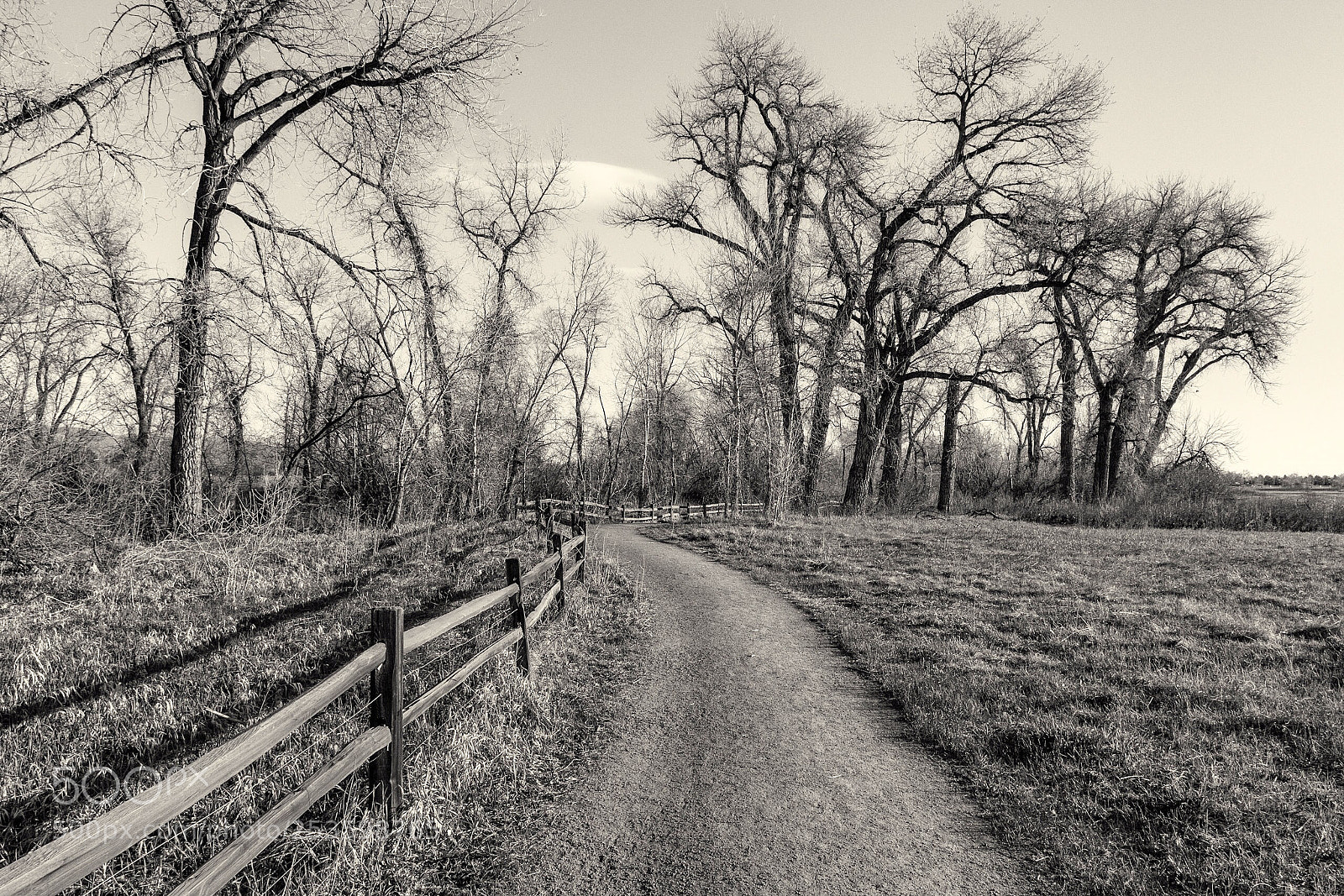 Canon EOS 5D Mark II sample photo. Path along the way photography