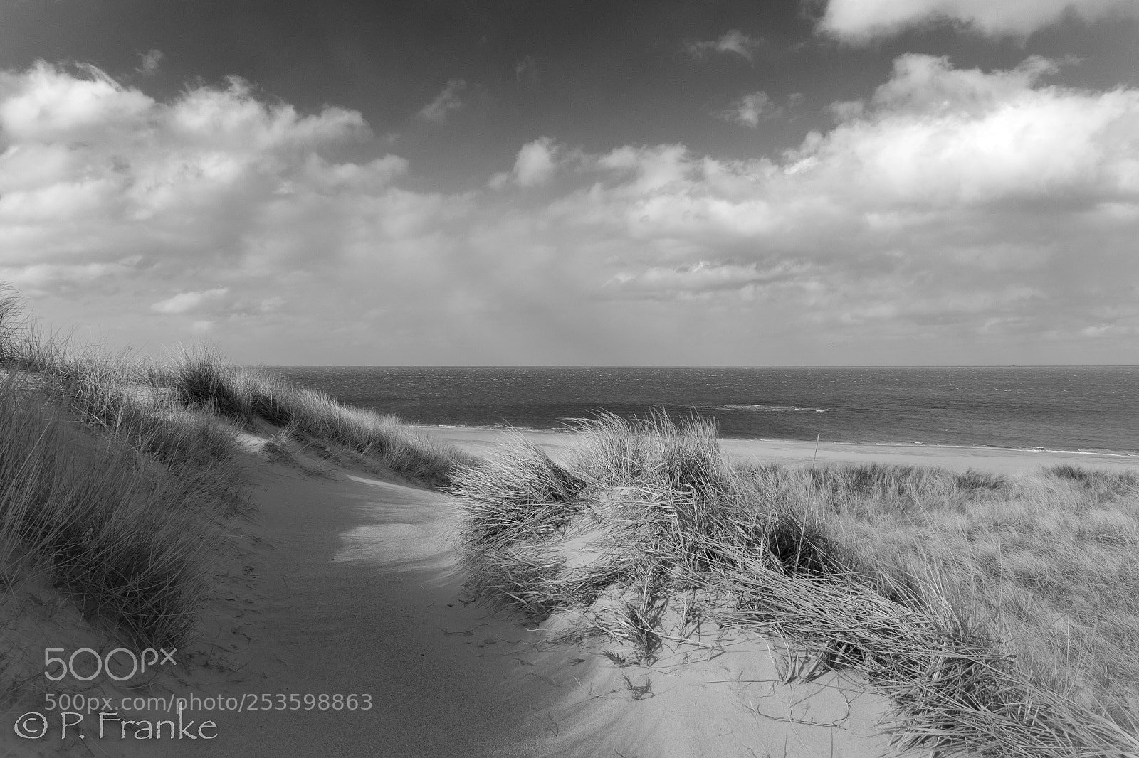 Canon EOS 7D Mark II sample photo. Weg strand dunes photography