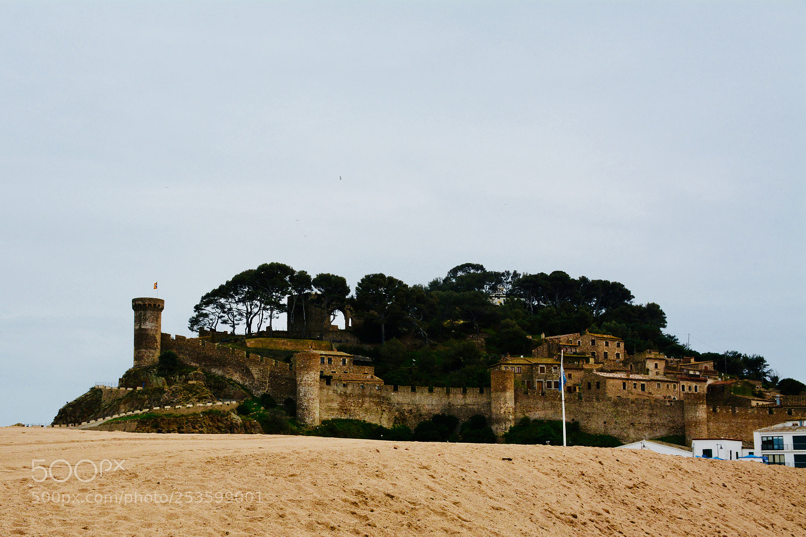Nikon D7100 sample photo. Untitled photography