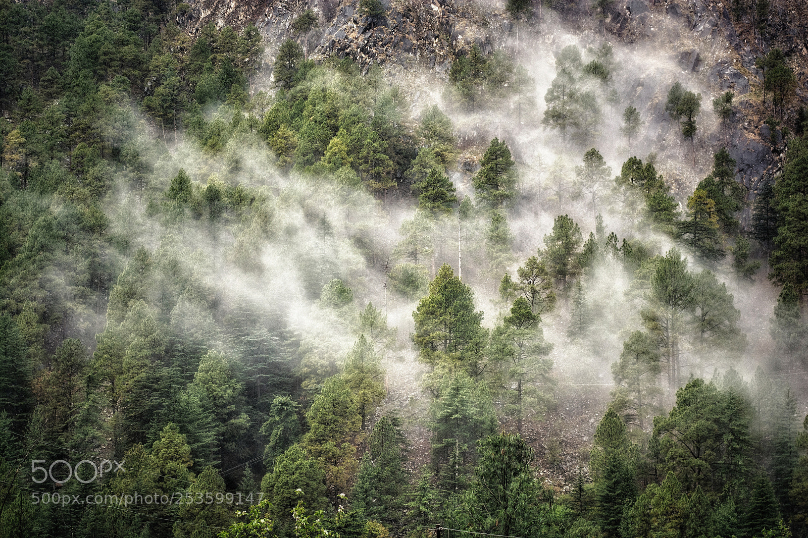 Nikon D5200 sample photo. Kasol behind the clouds photography