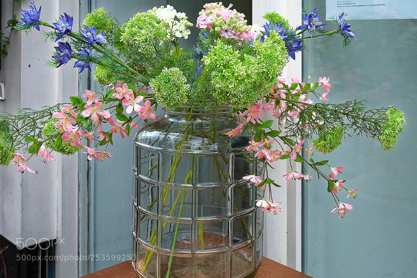 Fujifilm X-Pro2 sample photo. Fresh flowers photography