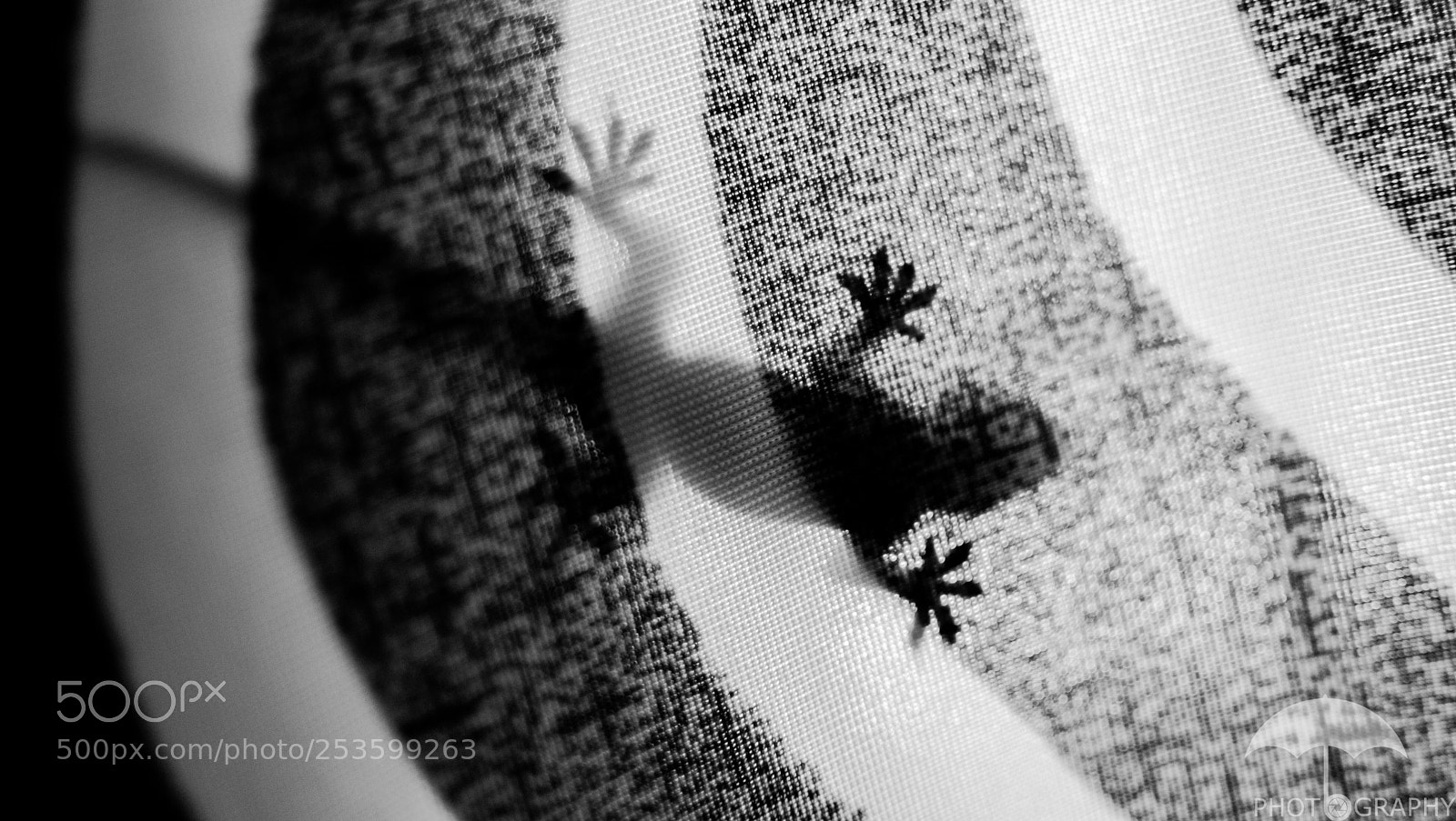 Nikon D3200 sample photo. In the shadows photography