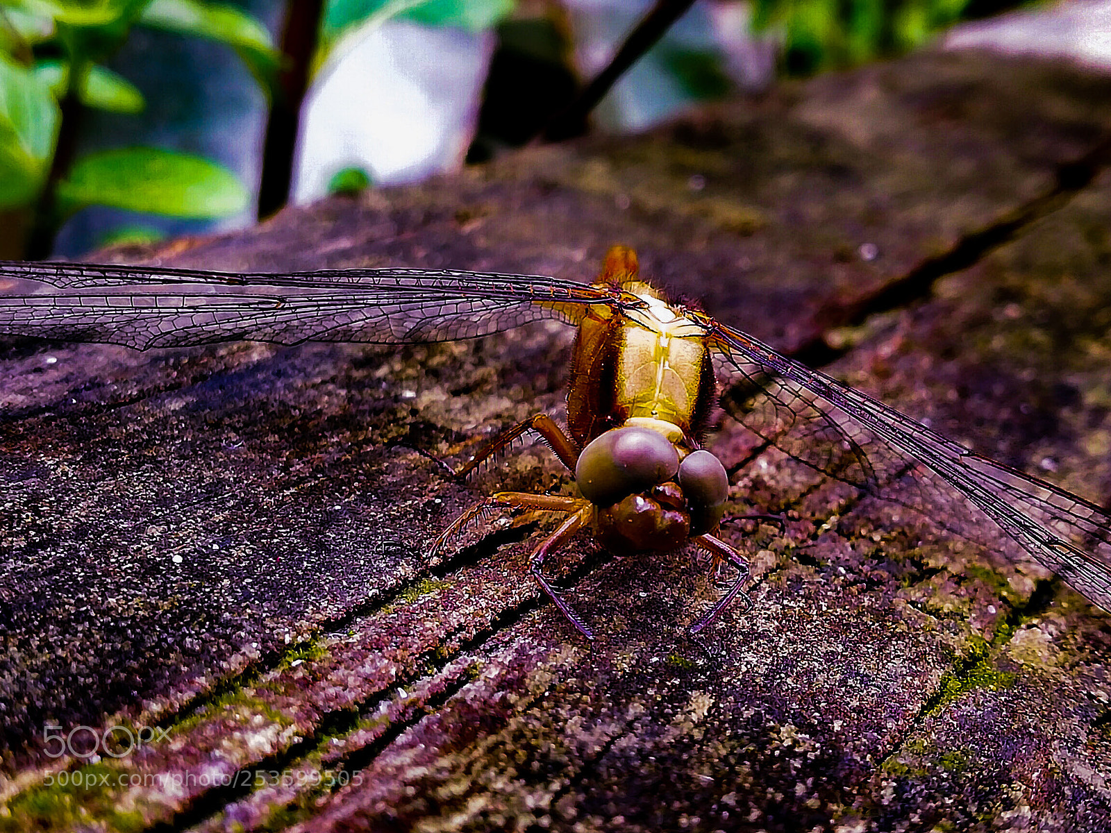 HUAWEI Mate 10 Lite sample photo. Untitled photography