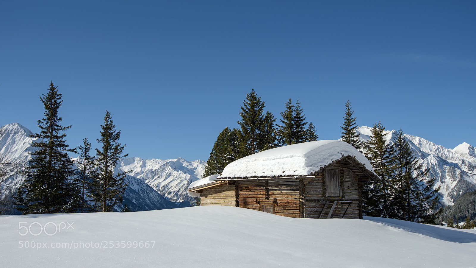 Nikon D810 sample photo. Alter stadl photography