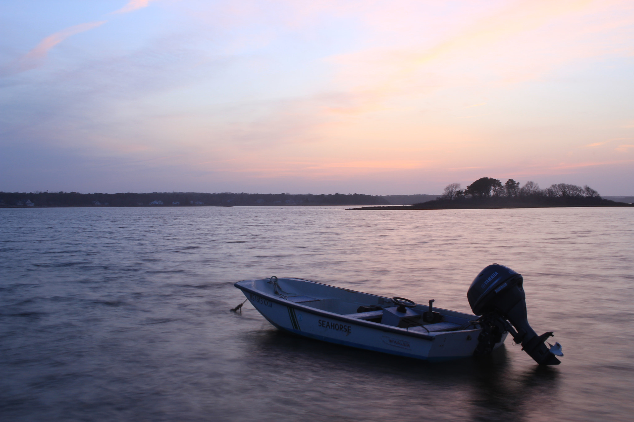Canon EF-S 24mm F2.8 STM sample photo. What hearts are for photography