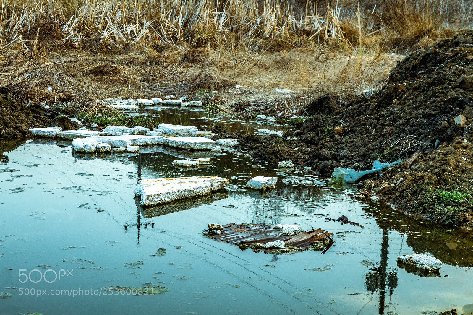 Canon EOS 80D sample photo. Polystyrene pollution photography