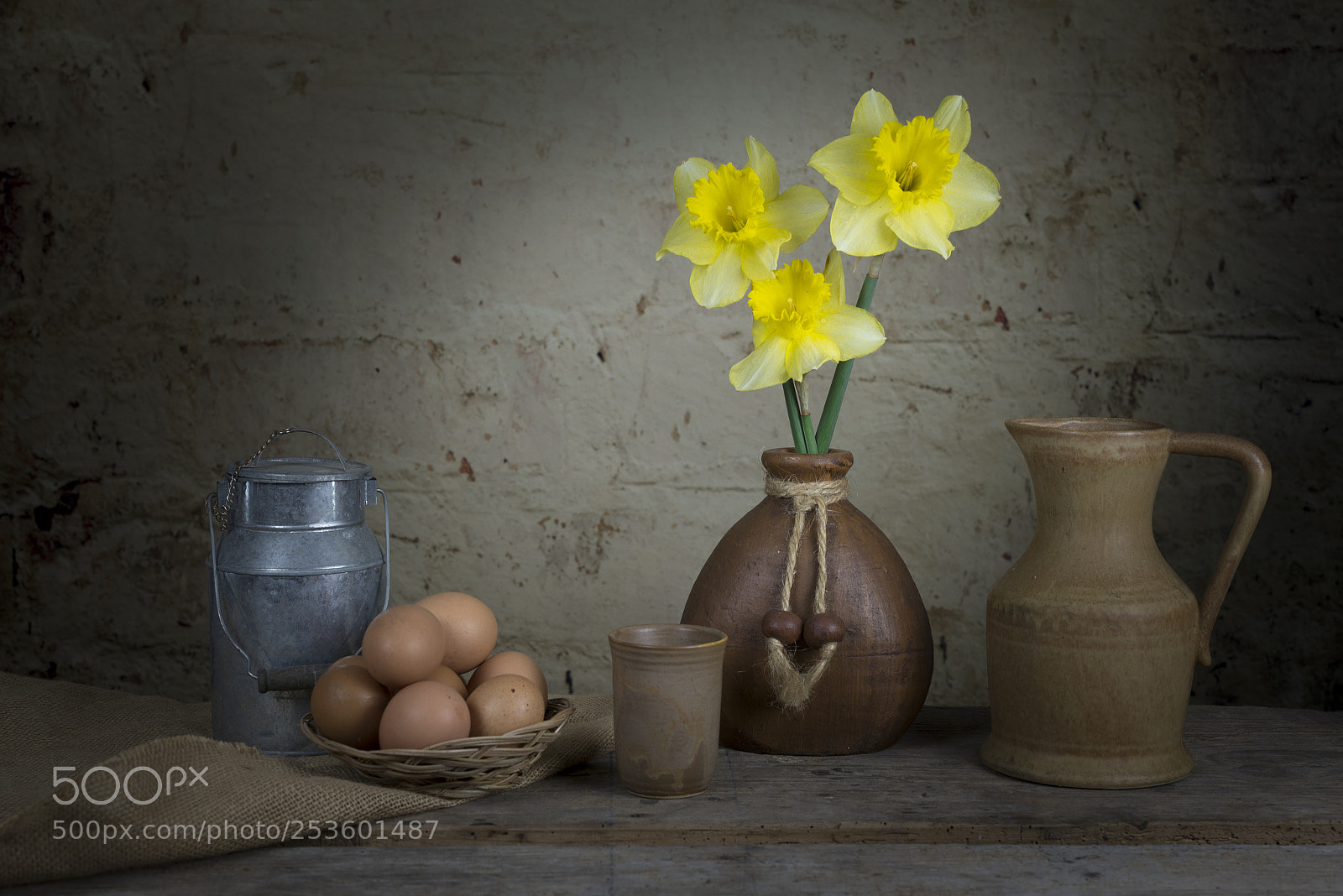Nikon D600 sample photo. Jonquilles photography