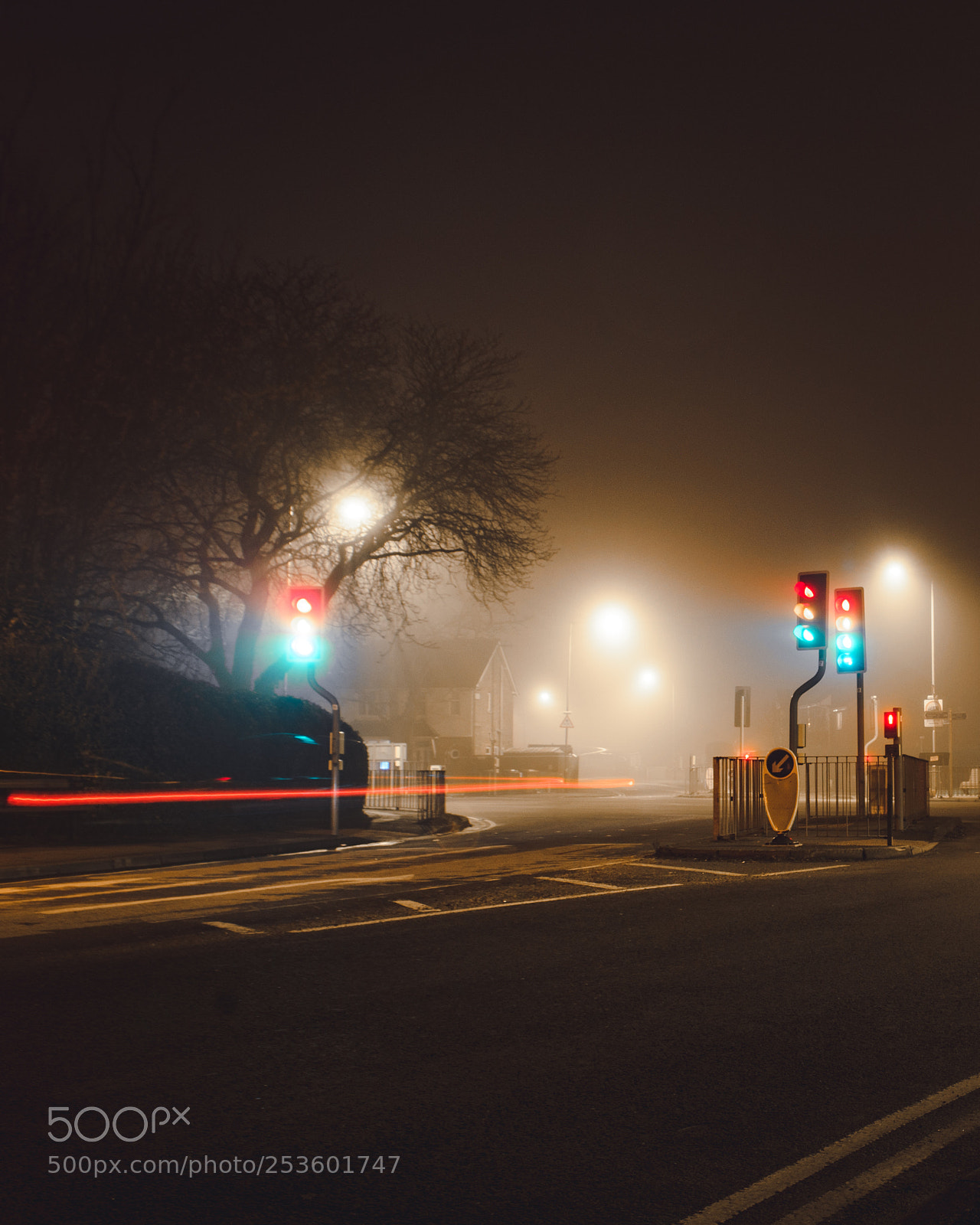 Nikon D5100 sample photo. Mysty night photography