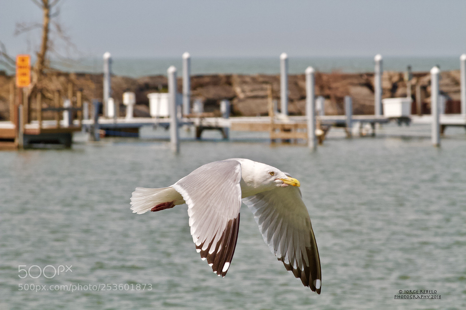 Canon EOS 7D sample photo. Fullsizeoutput a photography
