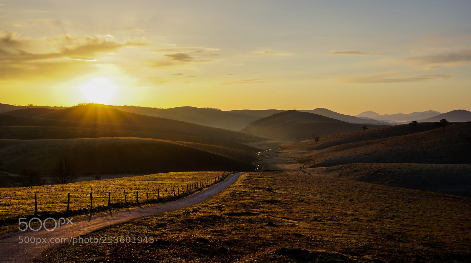 Sony a5100 sample photo. Golden morning photography