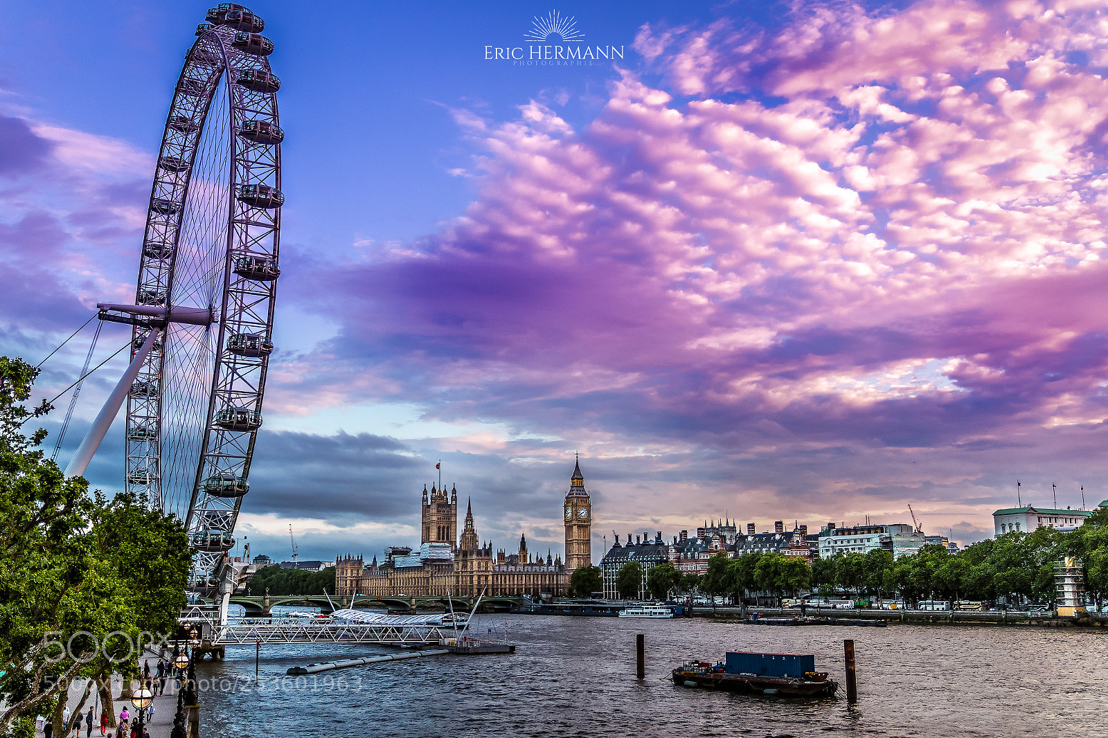 Canon EOS 7D Mark II sample photo. Purple eye photography