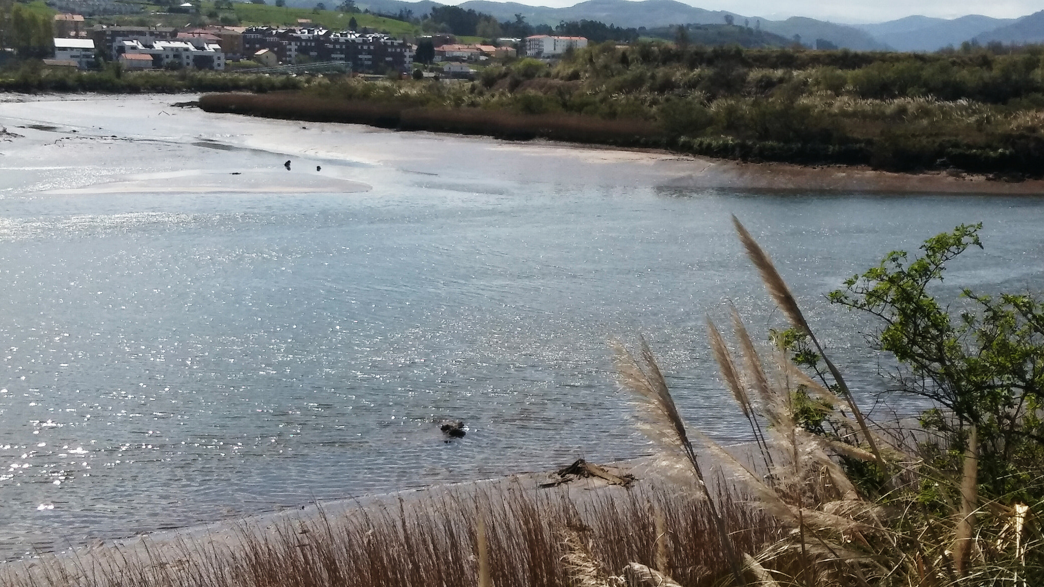 LG K10 sample photo. Big river photography