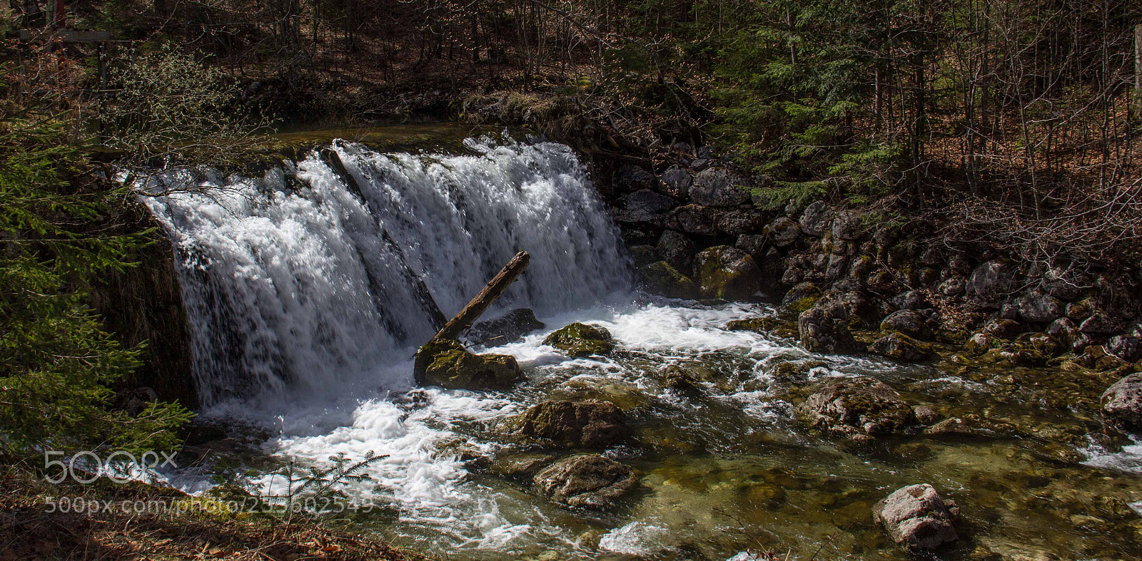 Canon EOS 60D sample photo. Neuhauser bach photography