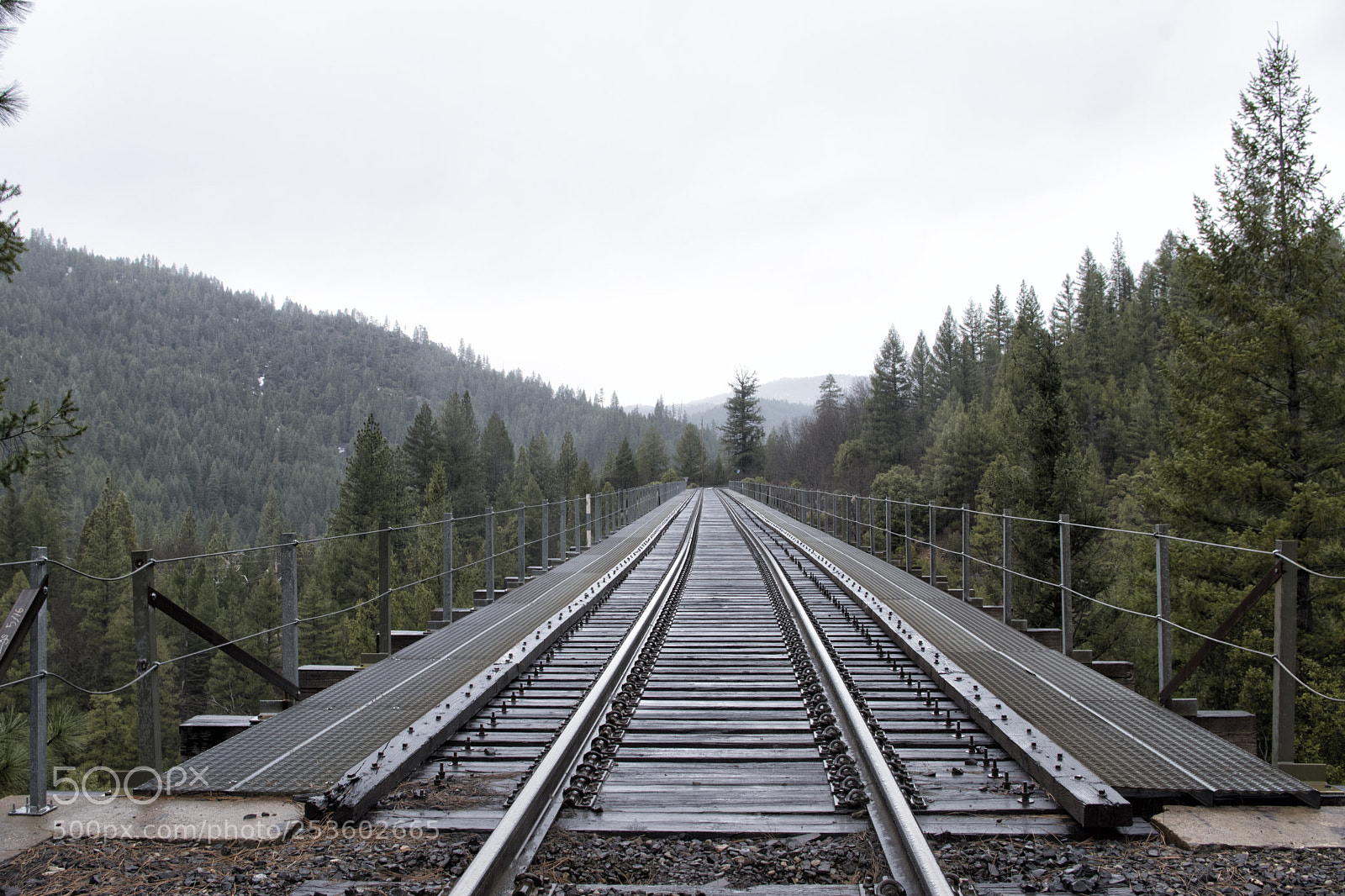 Pentax K-70 sample photo. Trestle photography