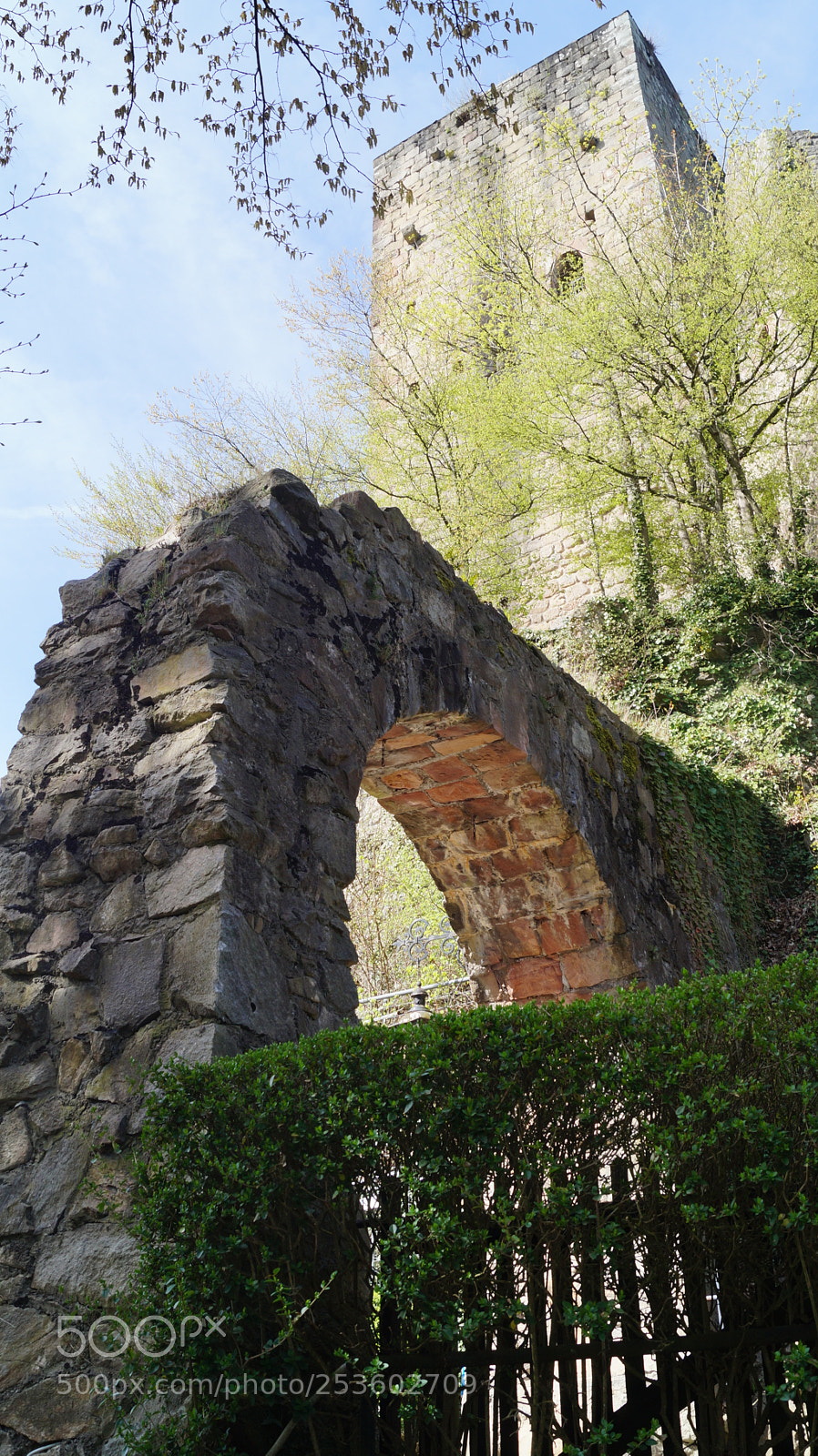 Sony SLT-A58 sample photo. Burg windeck 1 photography
