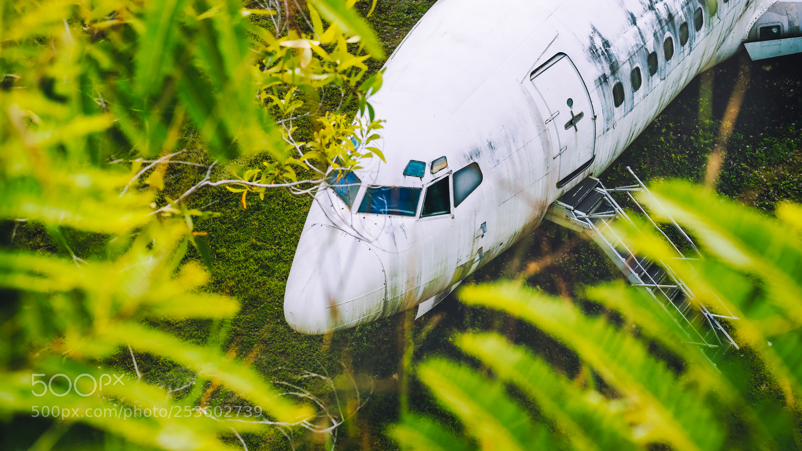 Panasonic DMC-G70 sample photo. Abandoned aircraft between leaves photography