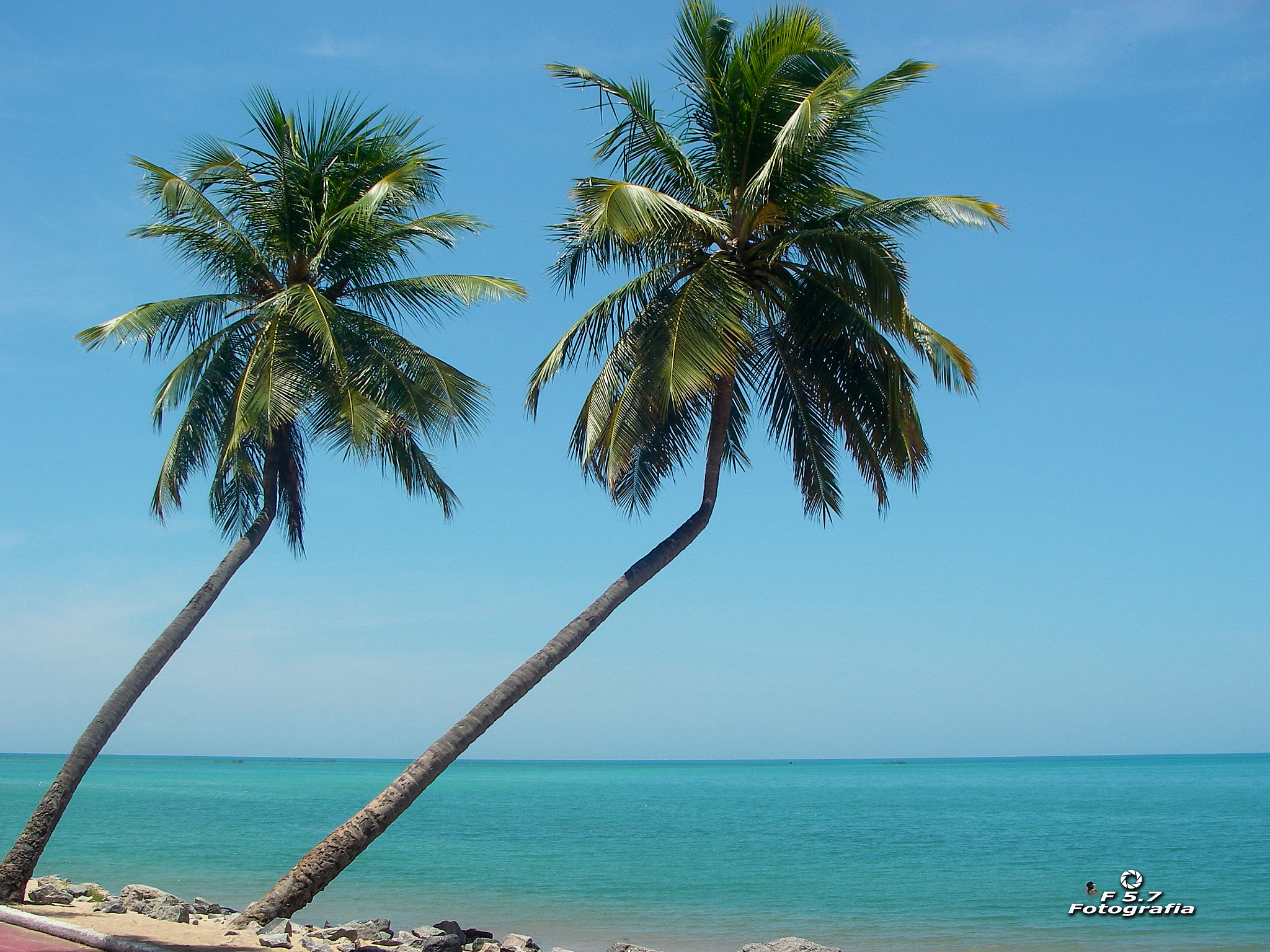 Pentax OPTIO W10 sample photo. Coqueiros - ponta verde - maceió - alagoas - brasil photography