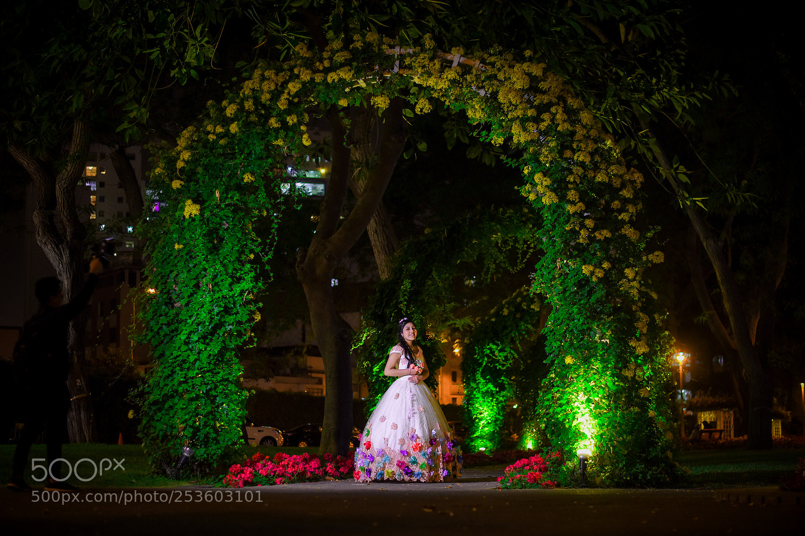 Nikon D810 sample photo. Primavera total photography