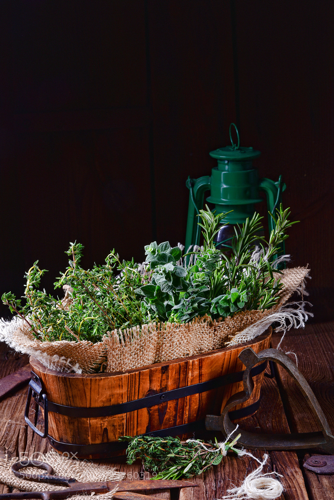 Nikon D810 sample photo. Herbal collection of thyme,oregano photography