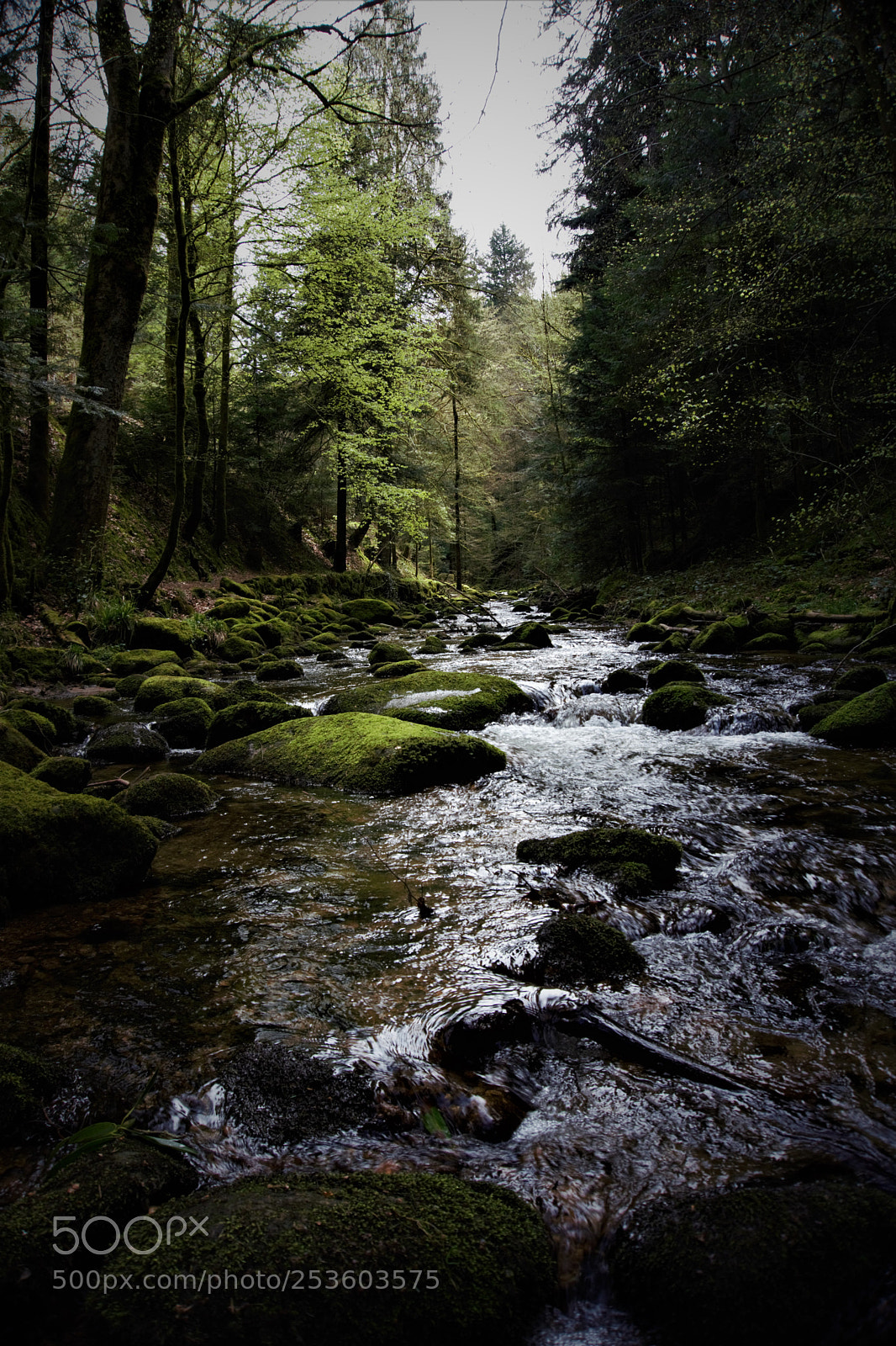 Sony a6000 sample photo. Grobbach photography