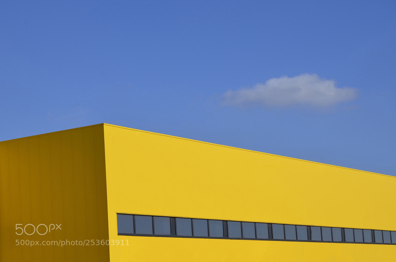Nikon D7000 sample photo. Yellow city  photography