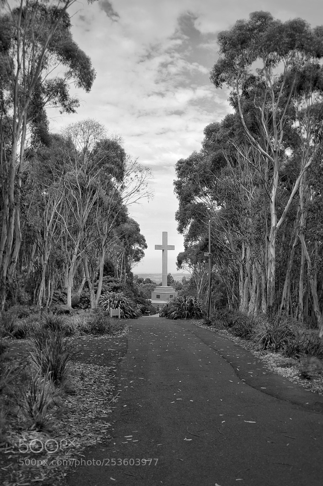 Canon EOS 80D sample photo. War memorial cross photography