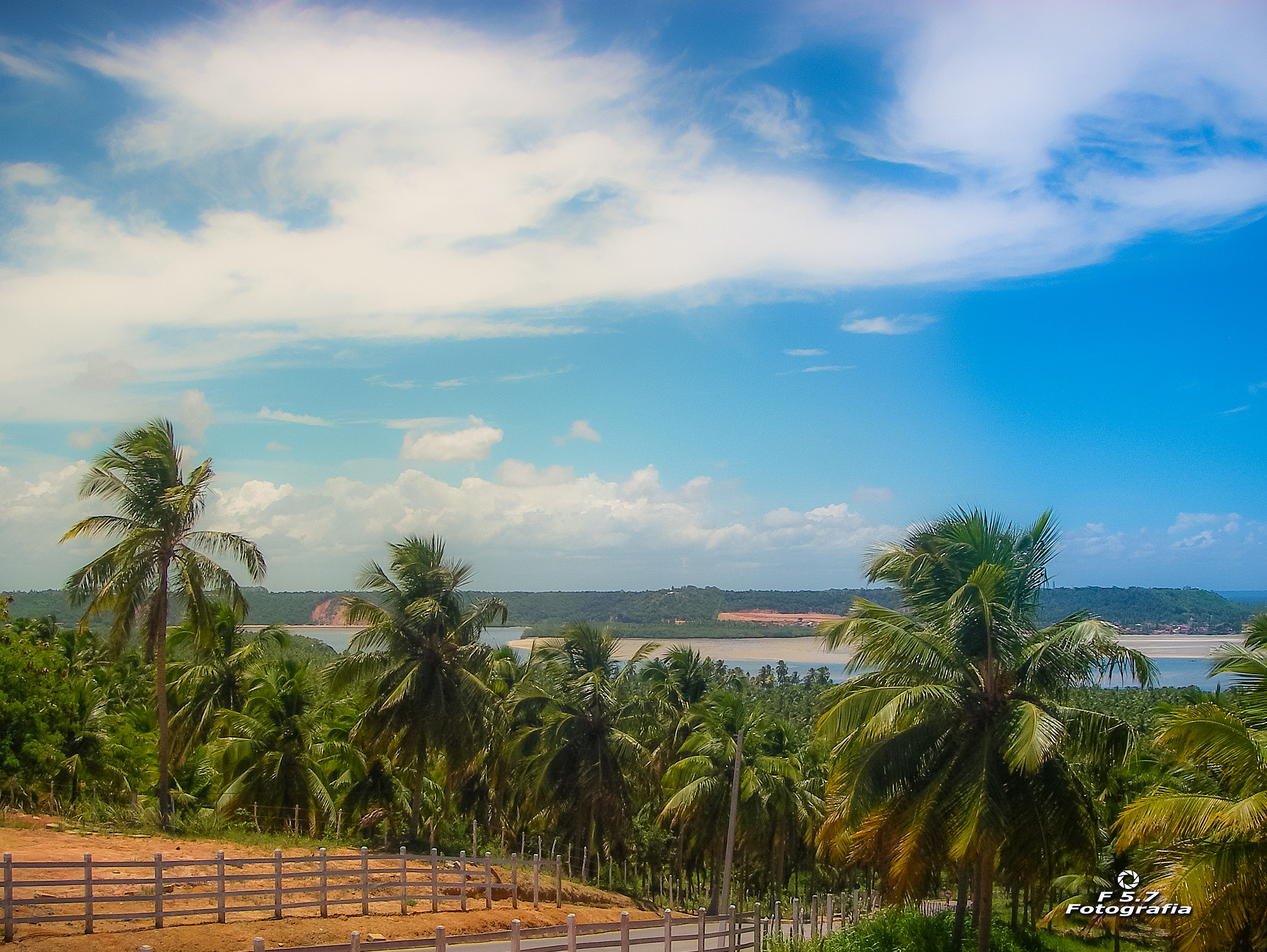Pentax OPTIO W10 sample photo. Fazenda de coqueiros - praia do gunga - alagoas - brasil photography